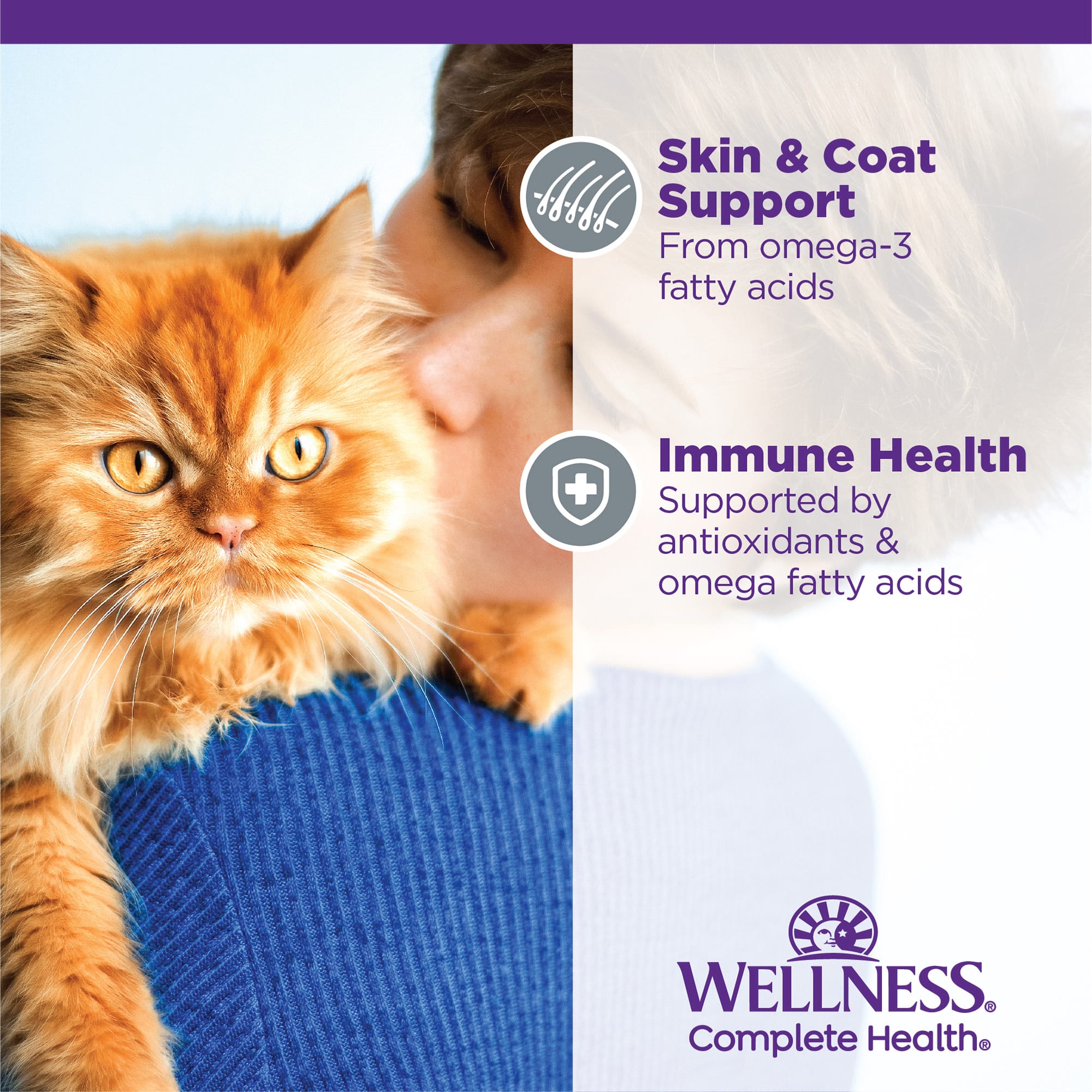 Wellness complete health senior cat clearance food