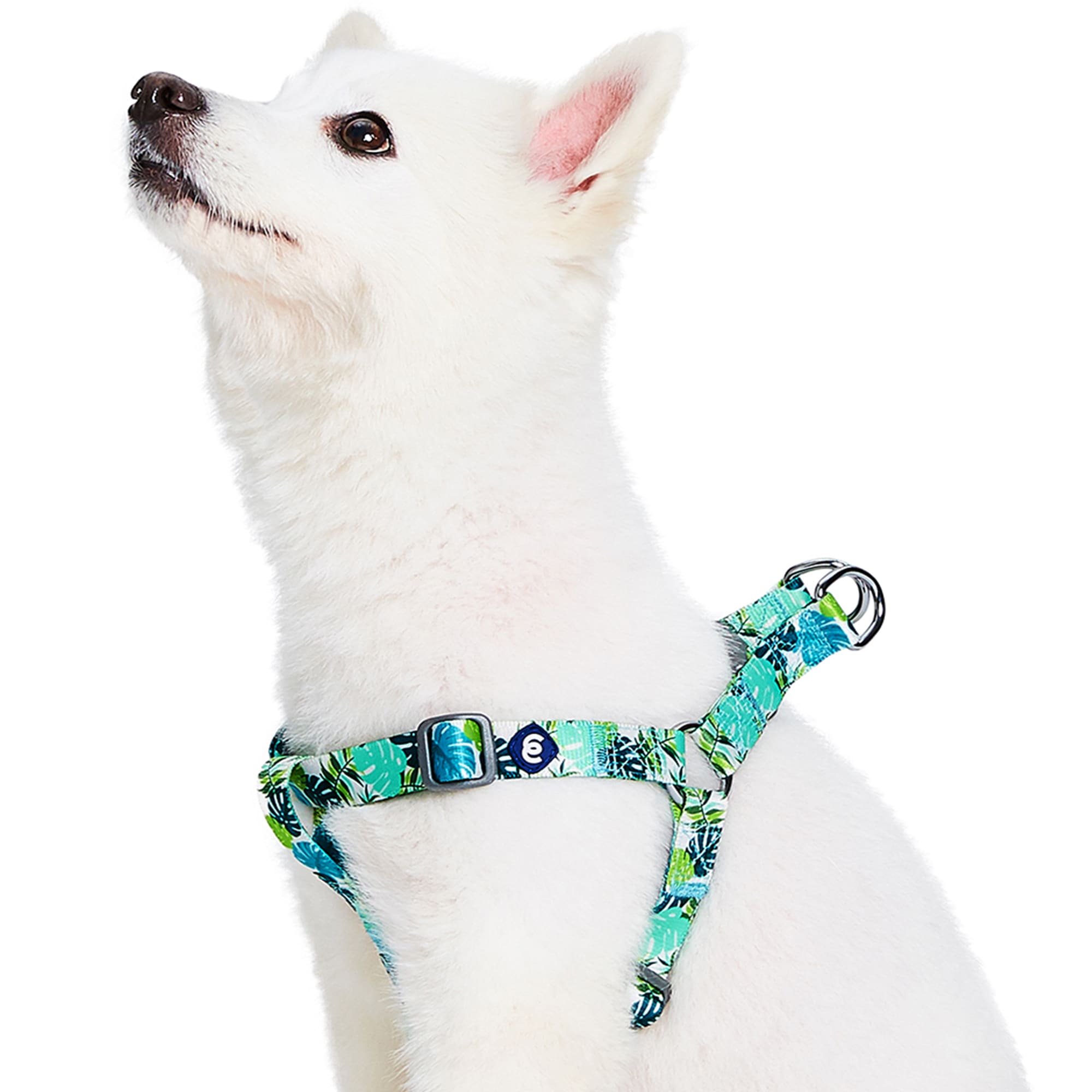 Blueberry Pet Essentials Bahamas Vacation Dog Harness, Small Petco