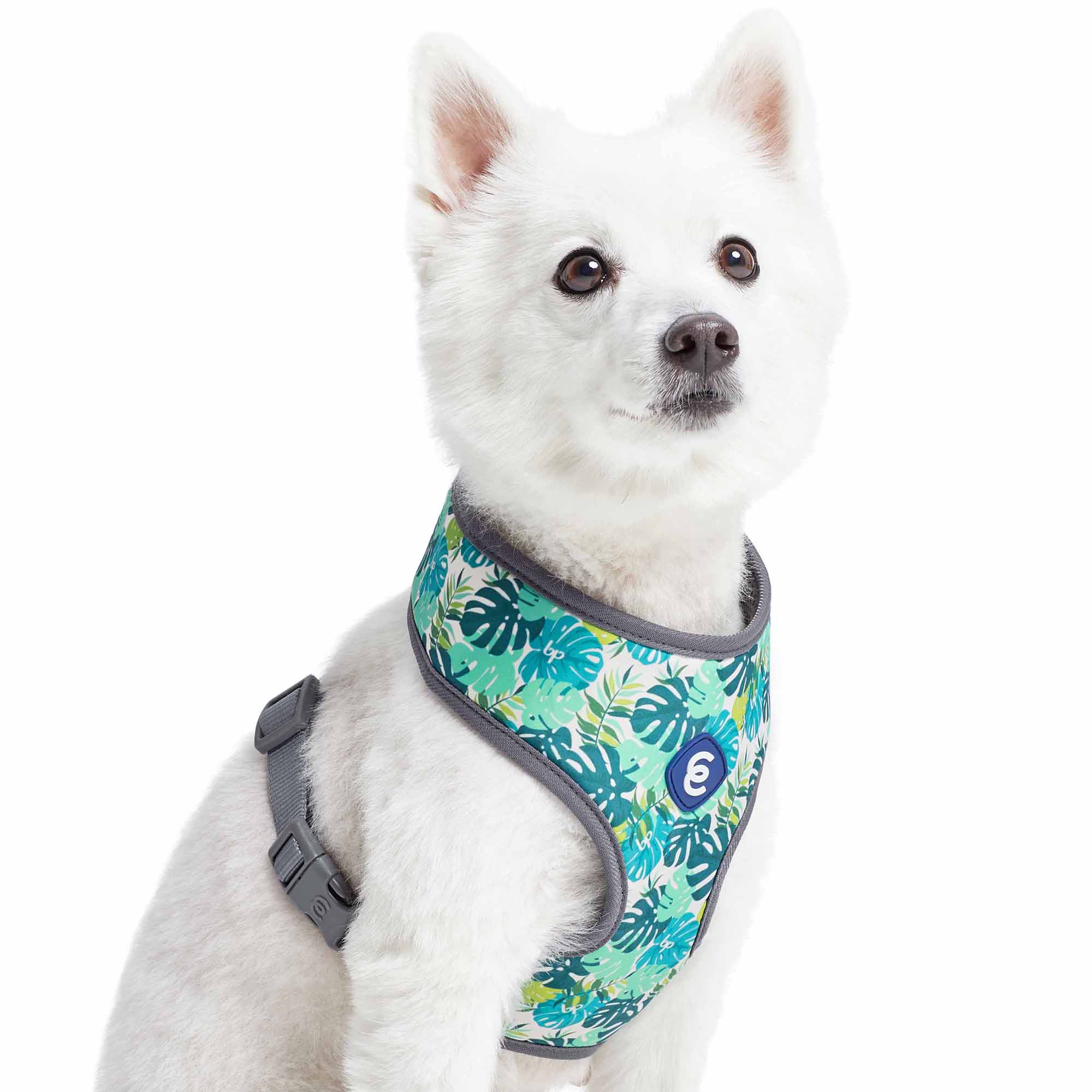 Blueberry Pet Essentials Bahamas Vacation Dog Harness Vest, XSmall Petco