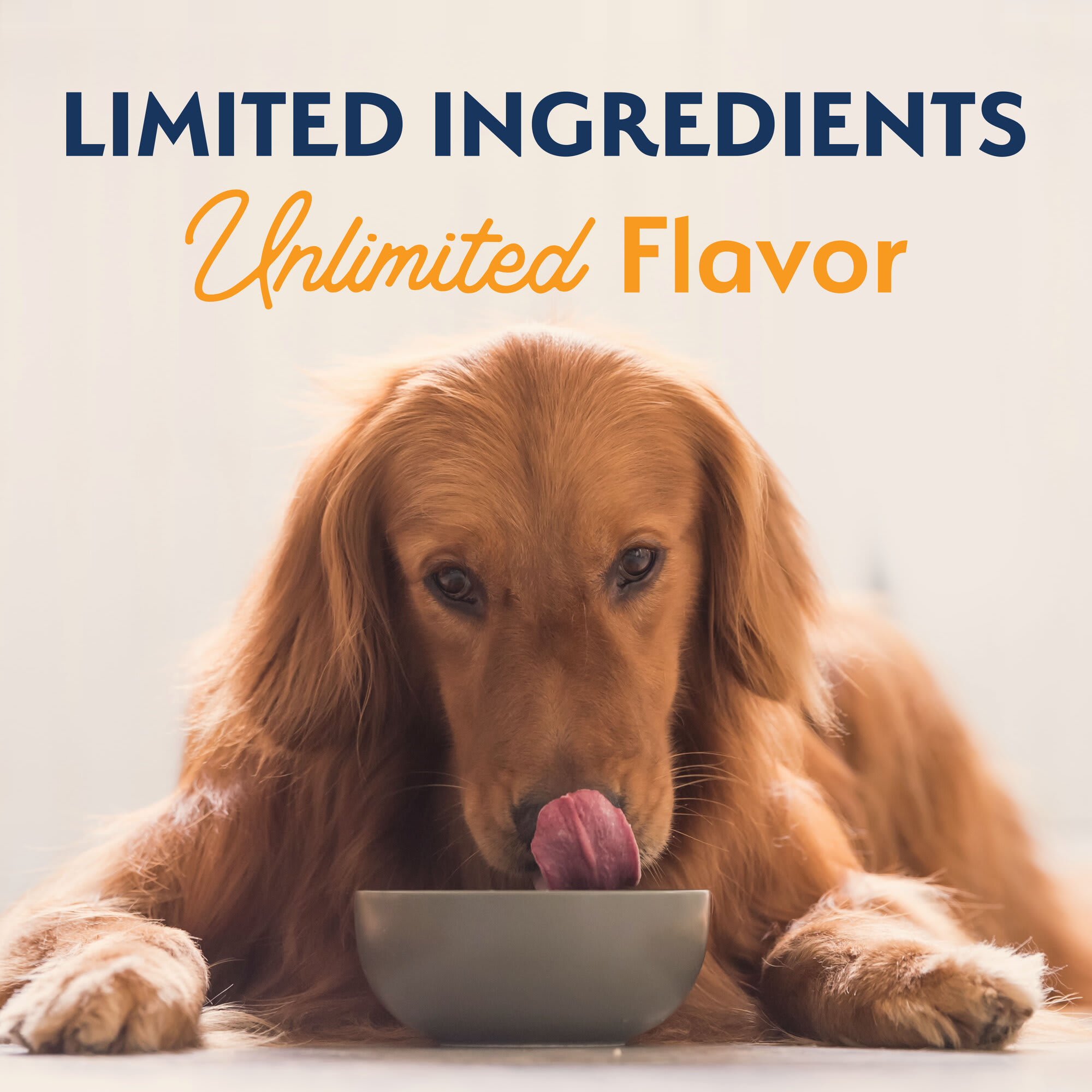 Natural Balance Limited Ingredient Adult Grain Free Dry Dog Food