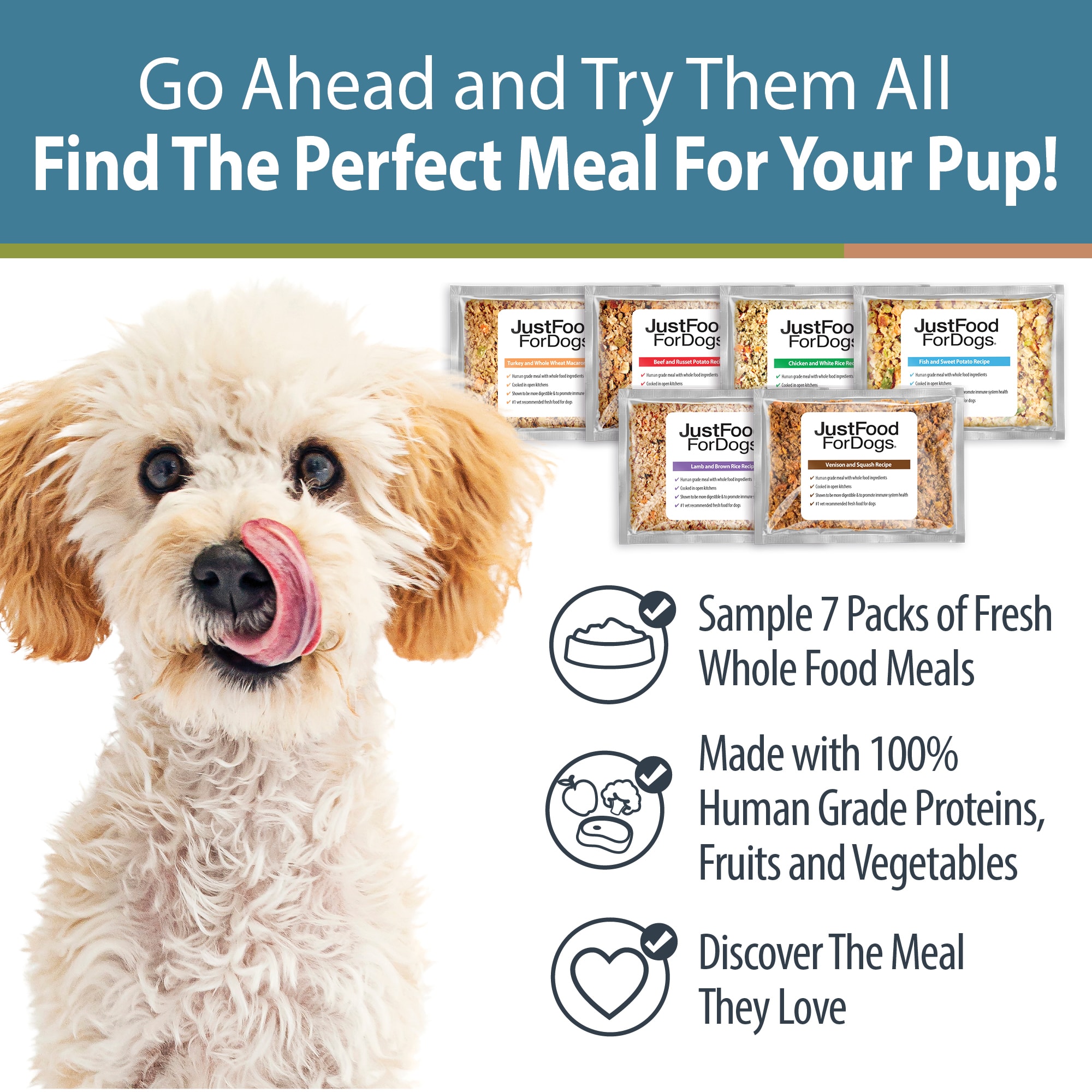 Human grade 2024 dog food petco