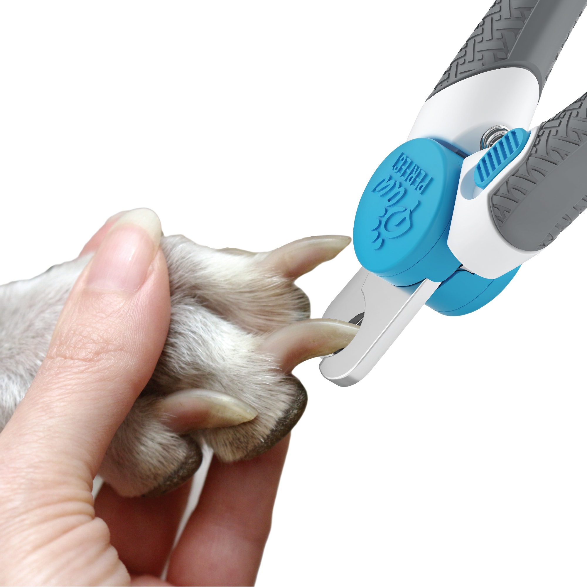 Nail clippers for dogs petco hotsell