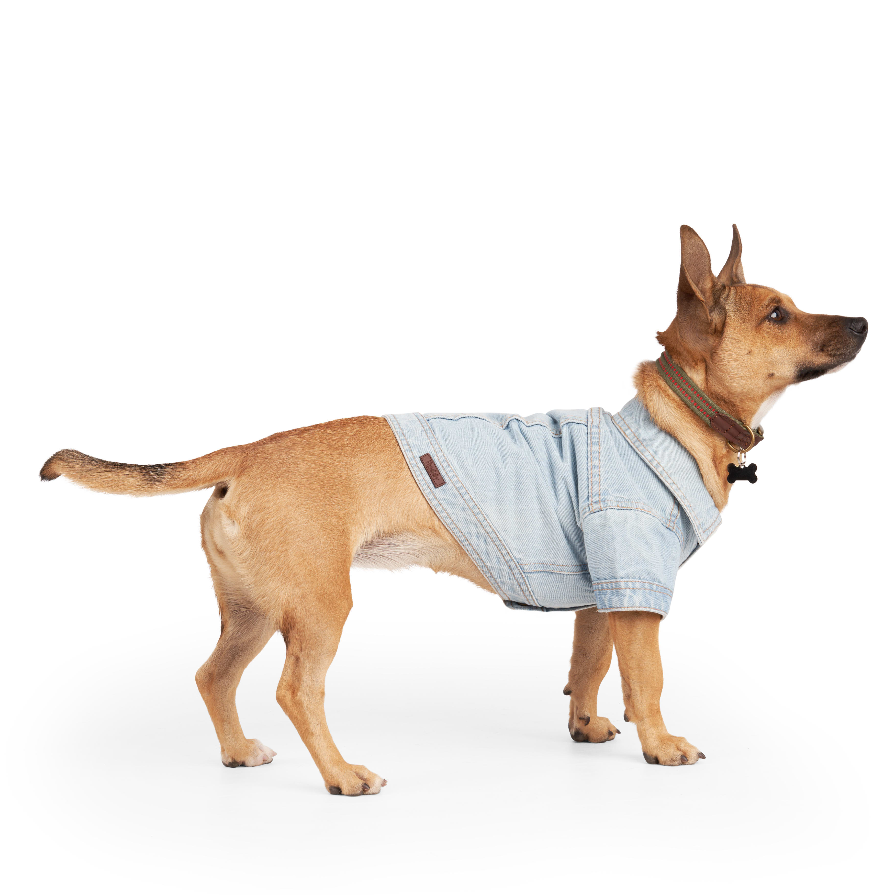 Jean jacket clearance for dogs