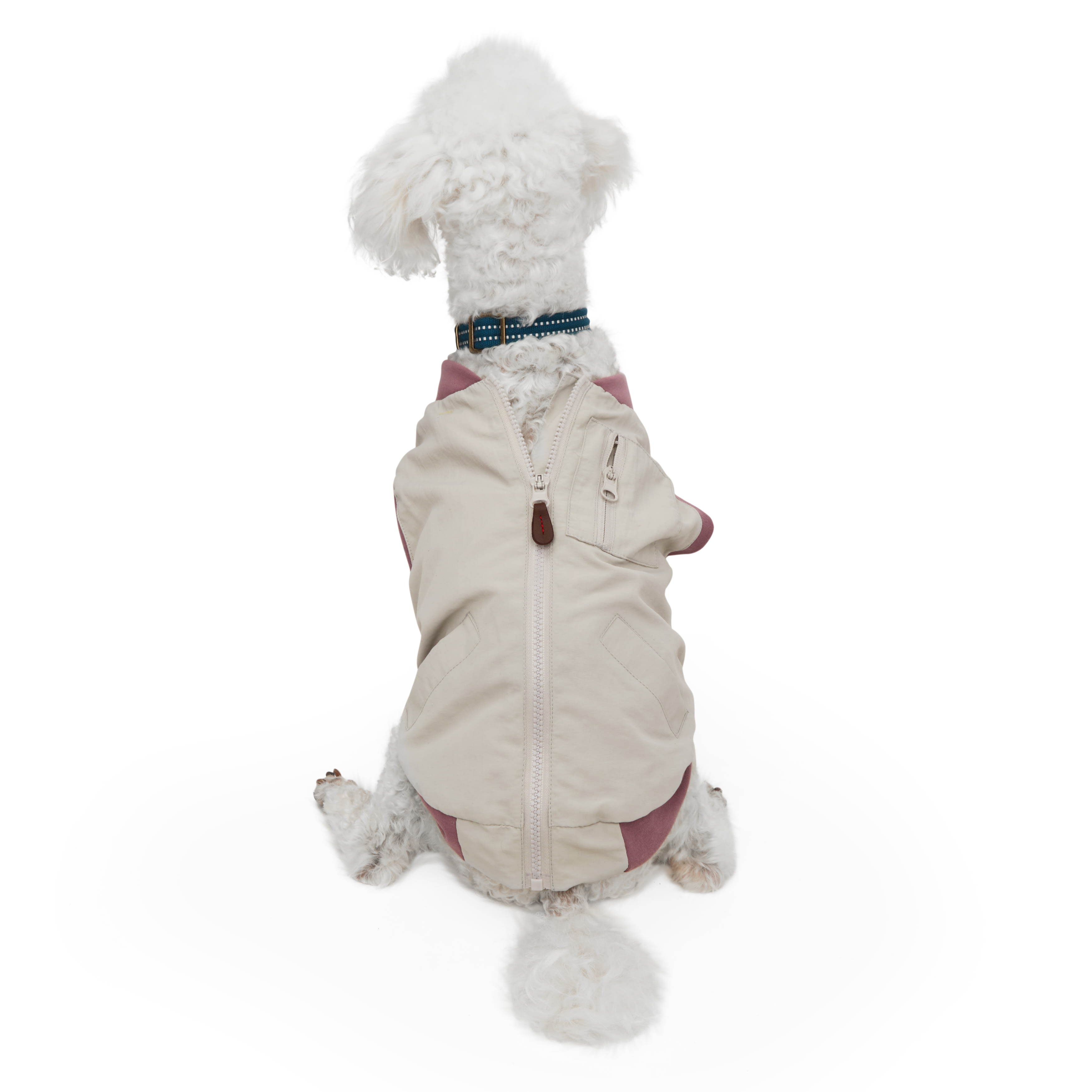 Reddy EcoFriendly Grey Bomber Jacket for XSmall Dogs