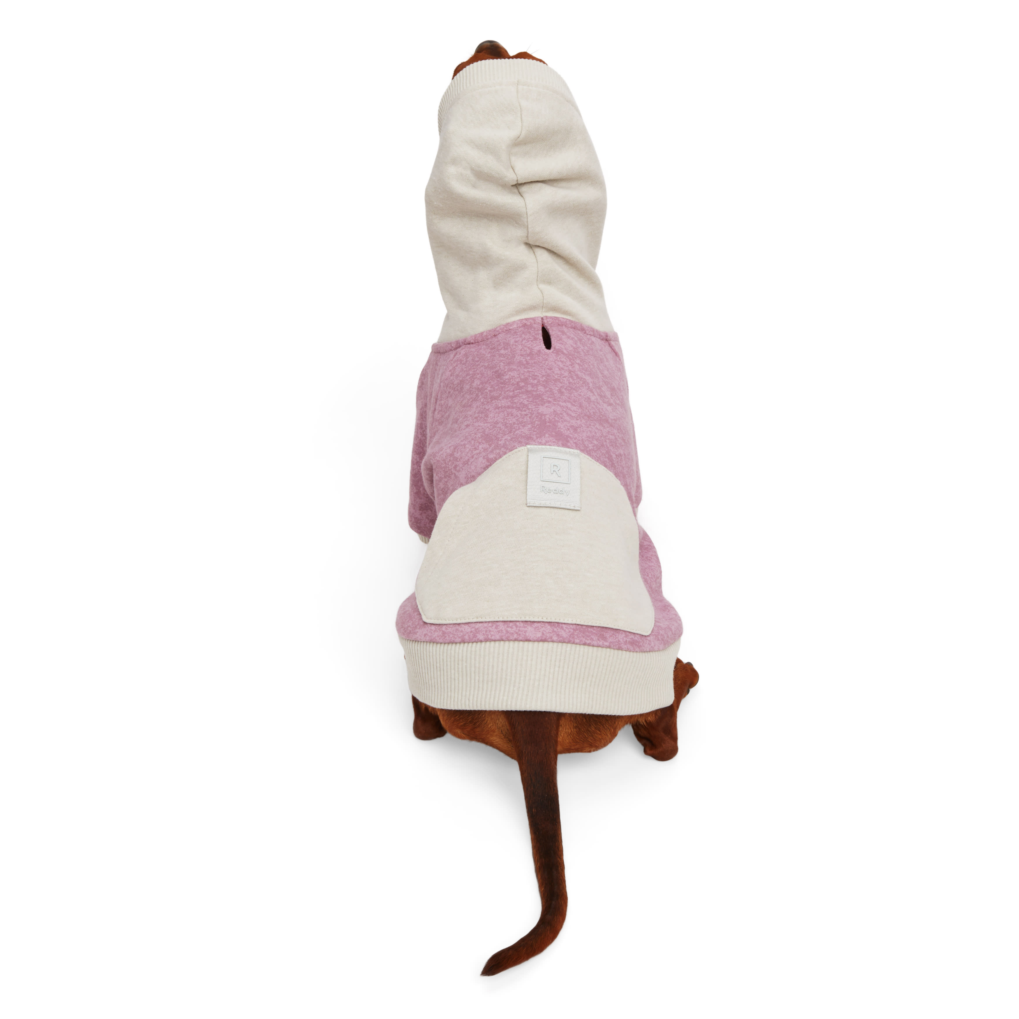 Reddy EcoFriendly Mauve & Grey XS Dog Hoodie