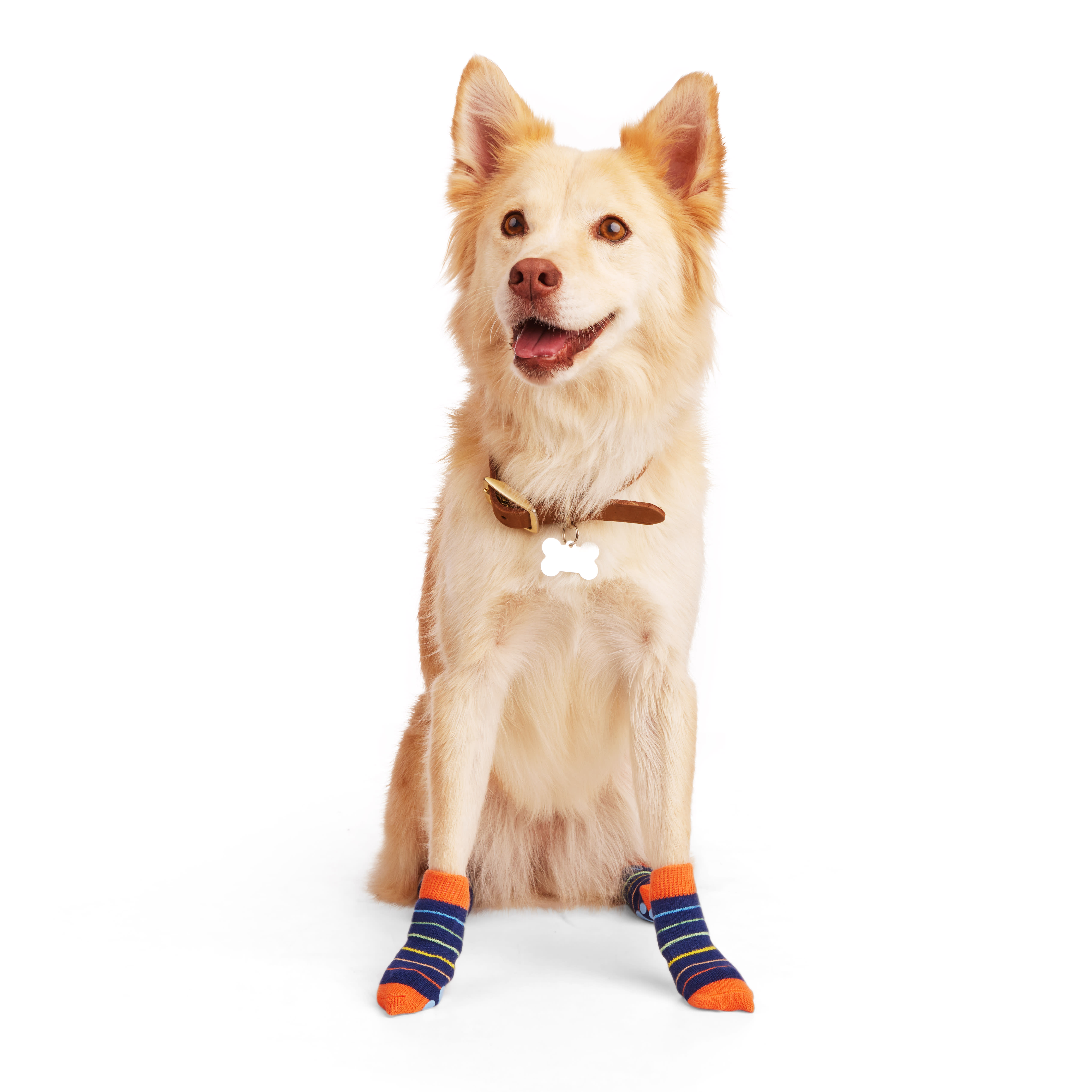 Non slip 2025 dog socks petco