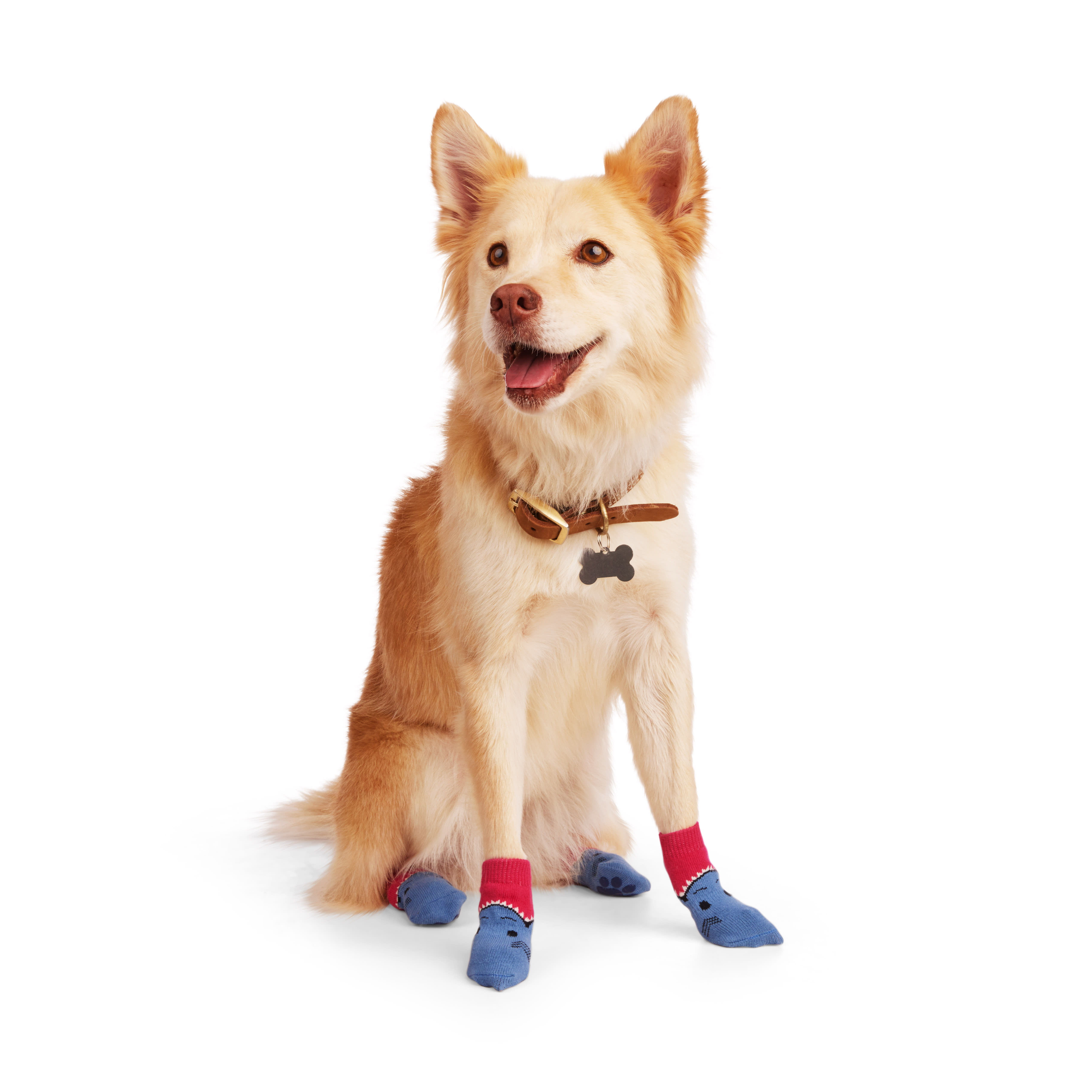 YOULY Blue Dip Sock for Dogs, Small