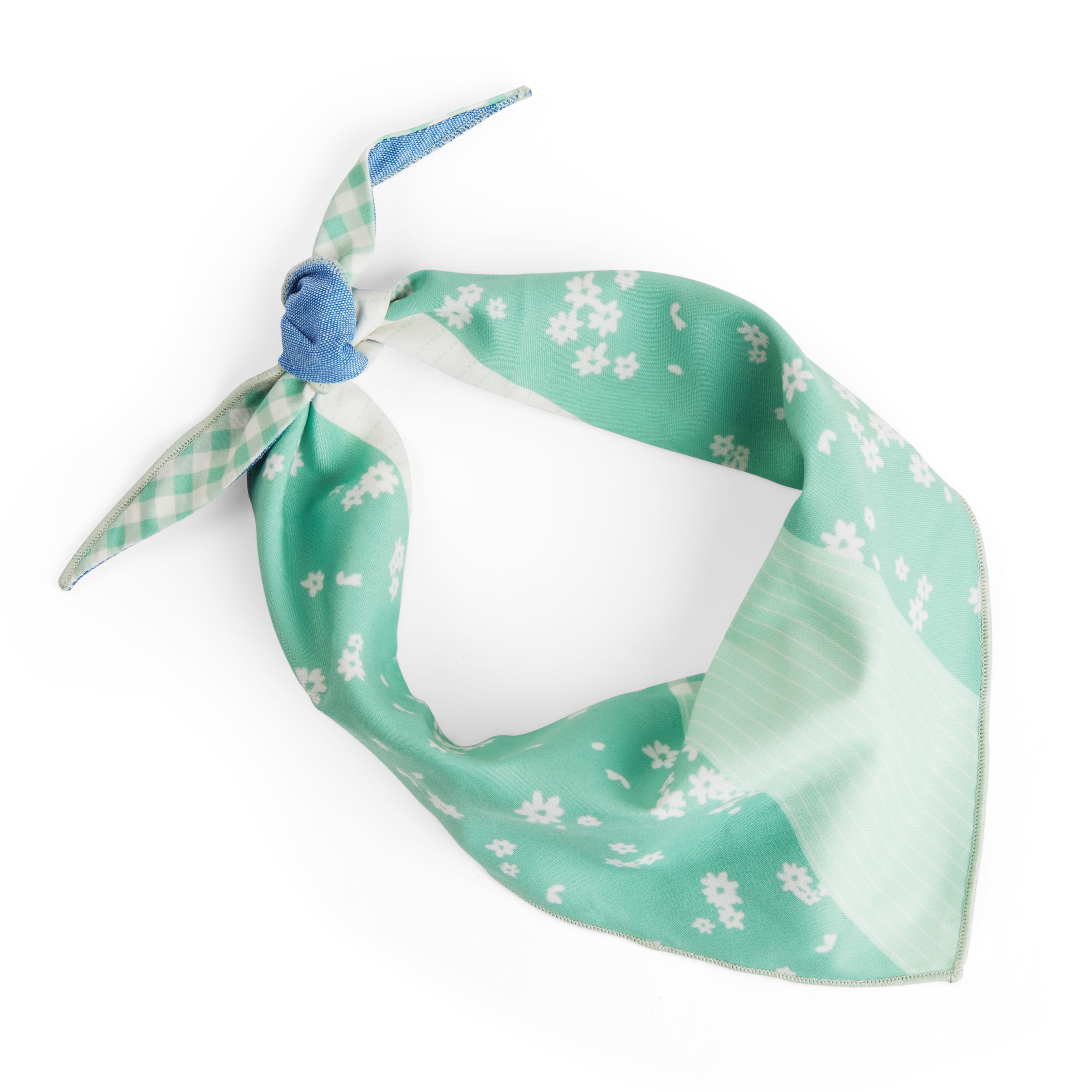 YOULY Green Bandana for Dogs, X-Small/Small | Petco