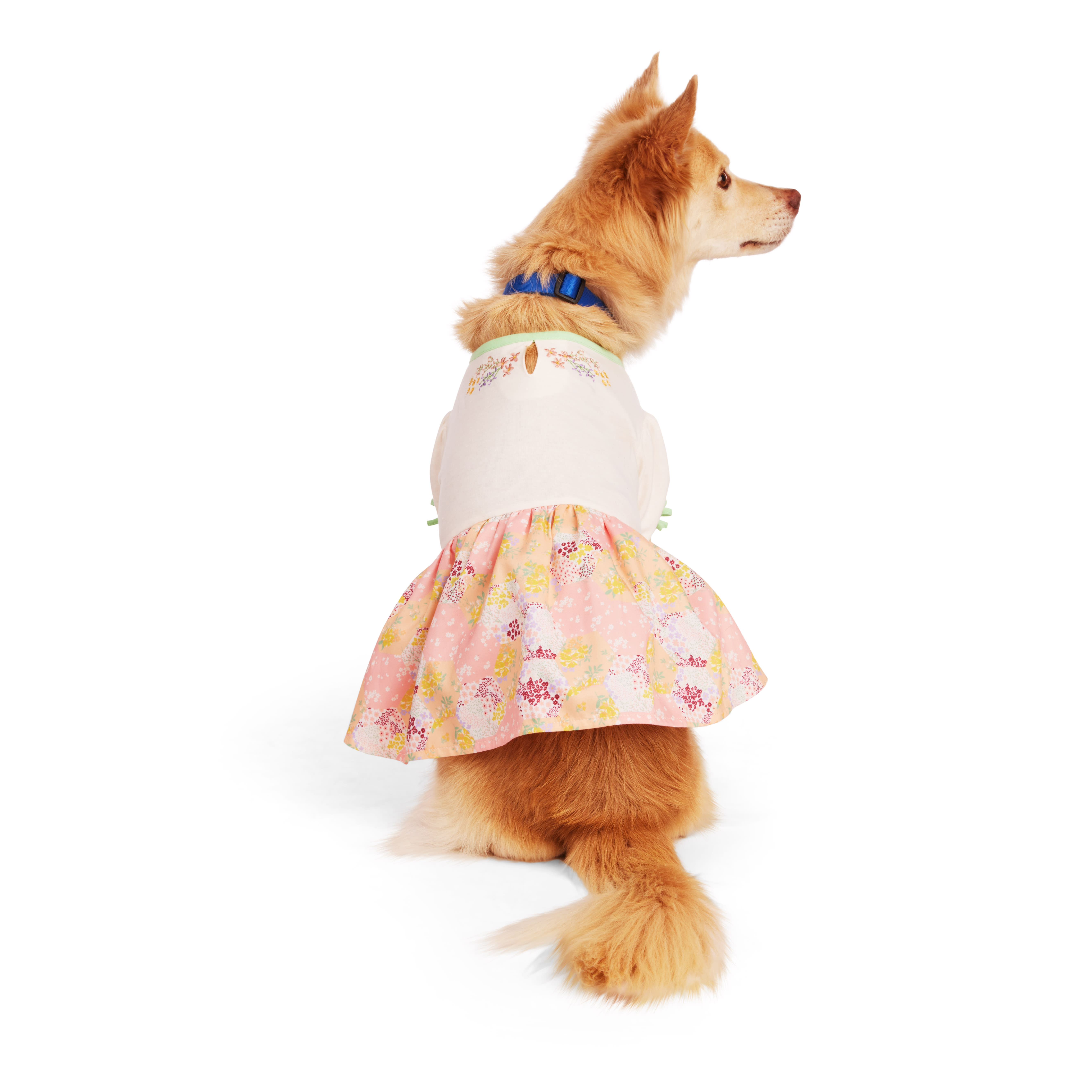 Extra large clearance dog dresses