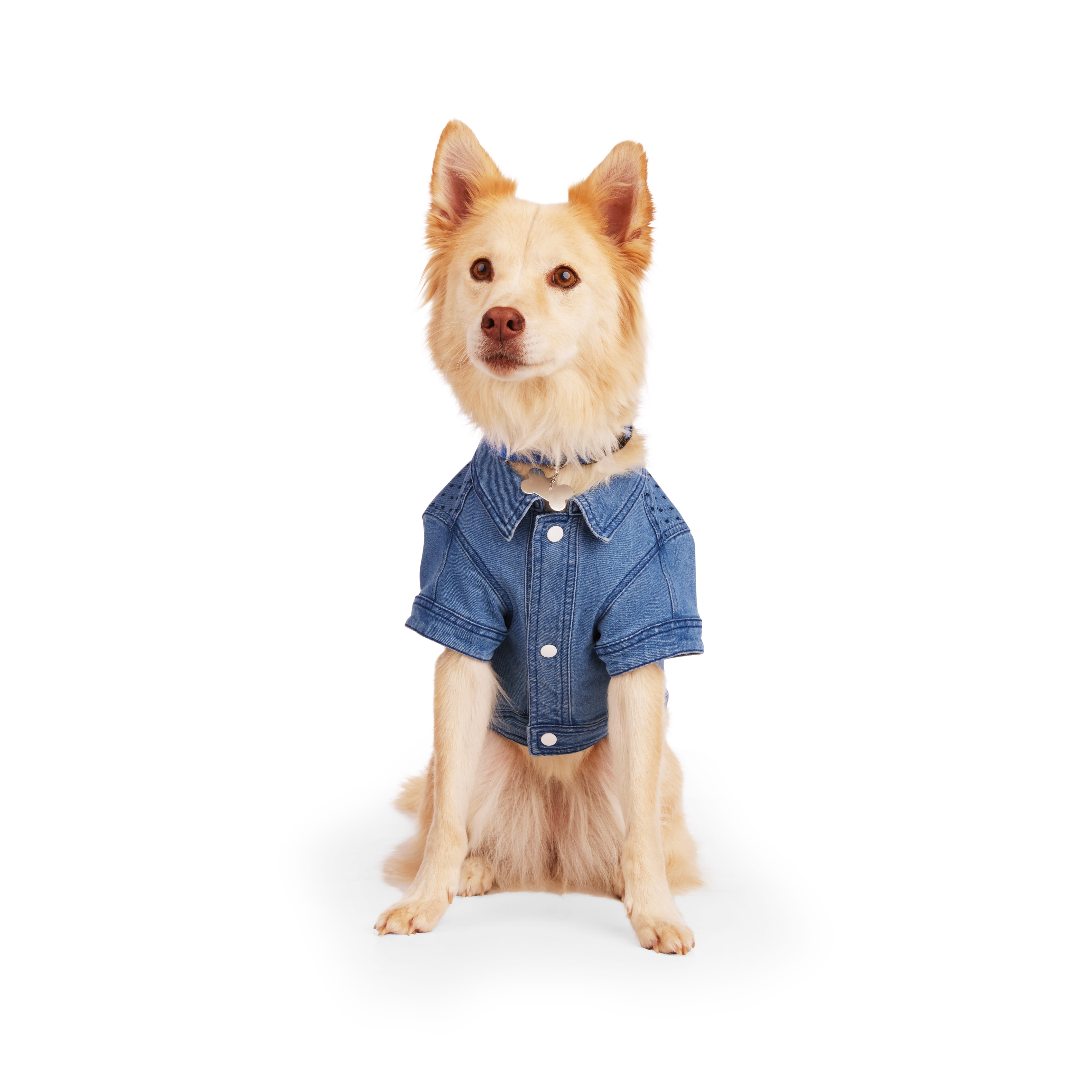 YOULY XX Small Blue Denim Dog Jacket Stylish Lightweight from Petco