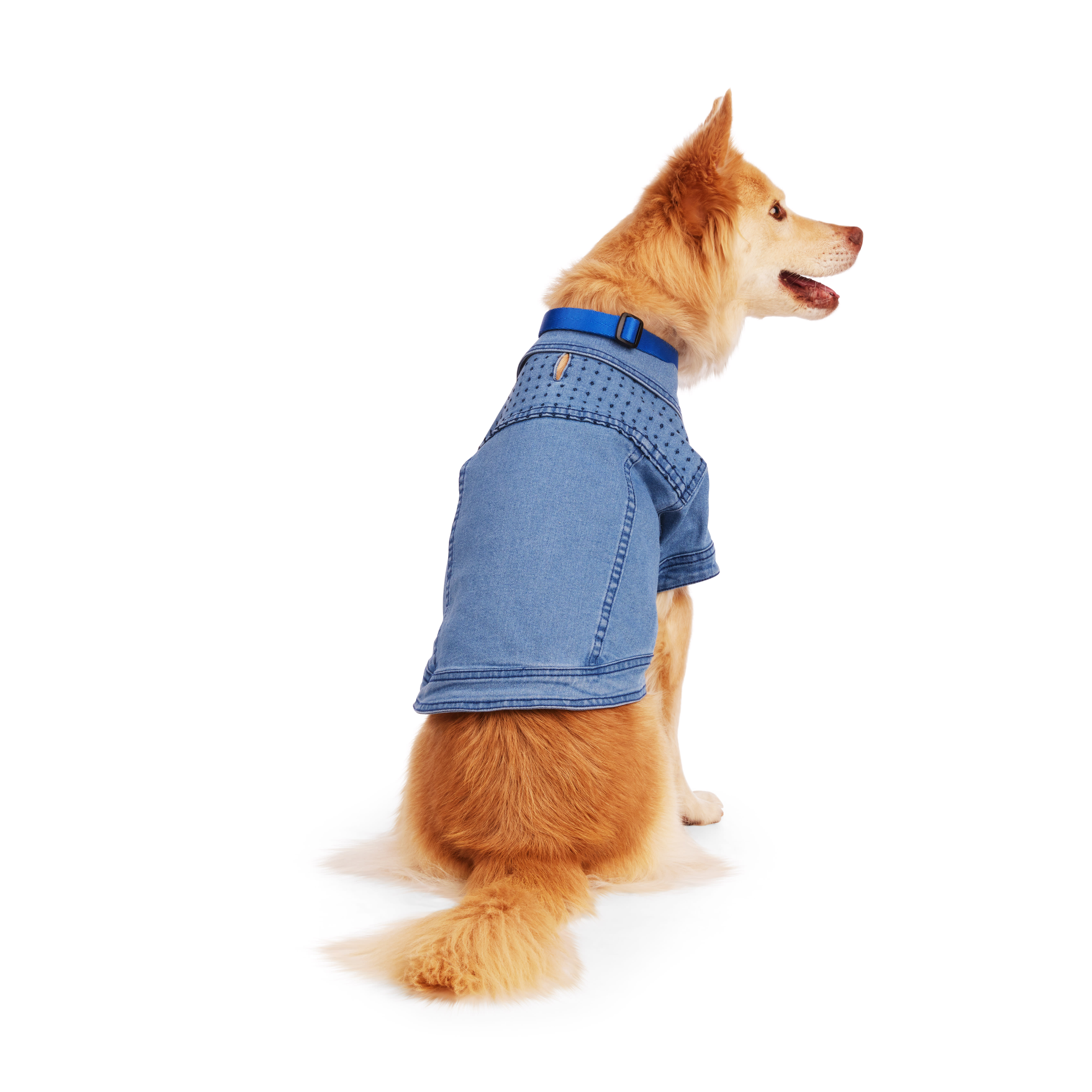 YOULY Blue Denim Jacket for Dogs XX Small Petco