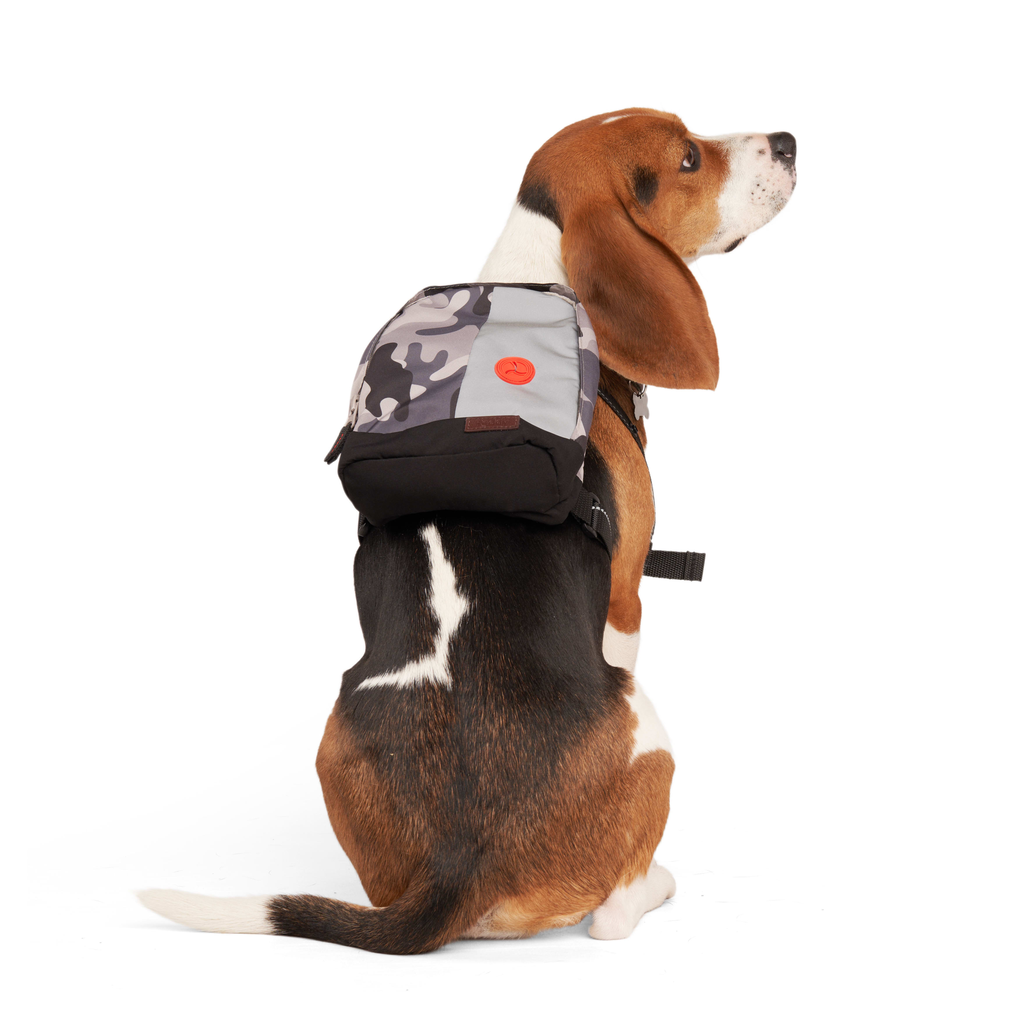 Petco dog hot sale backpack