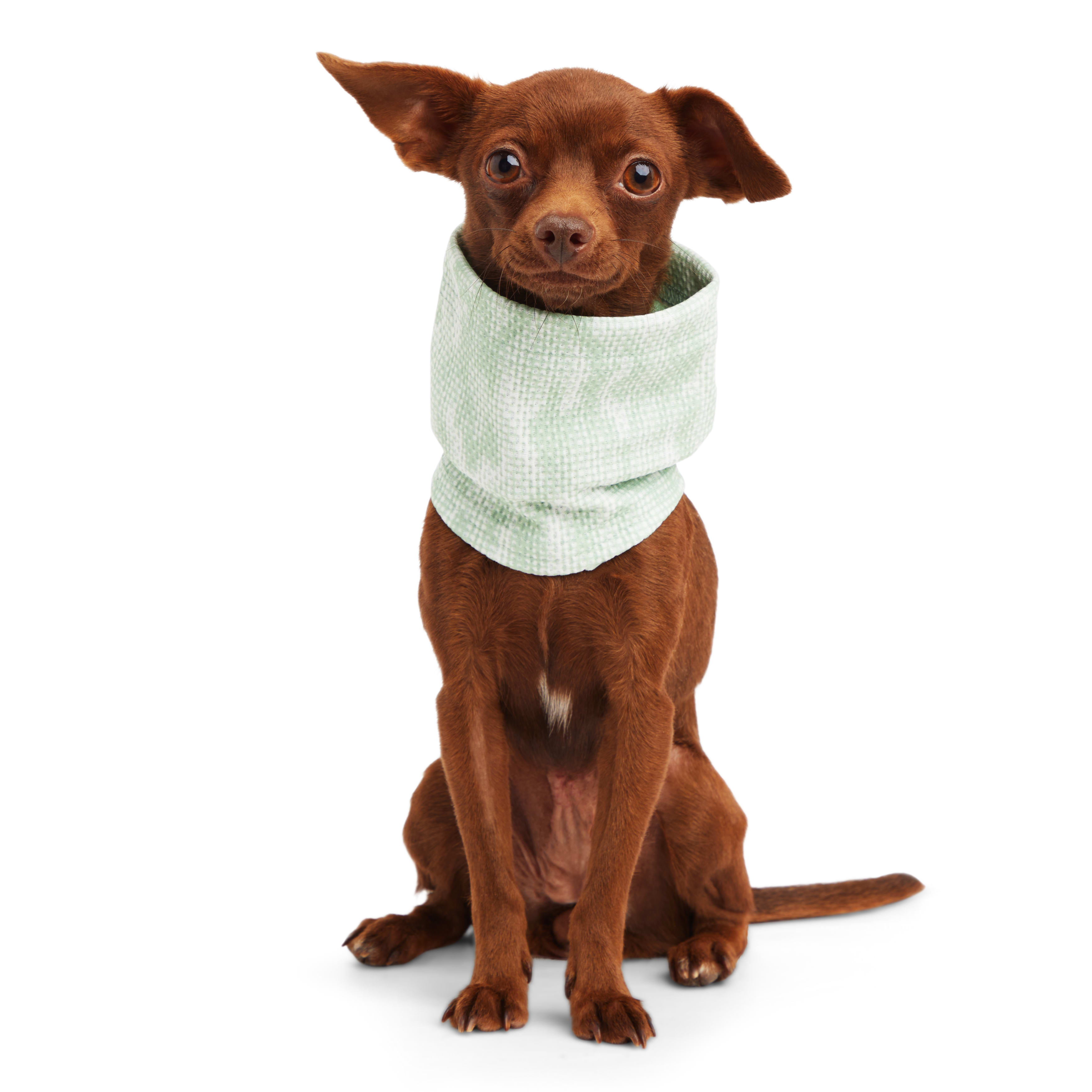 Dog 2025 neck gaiter