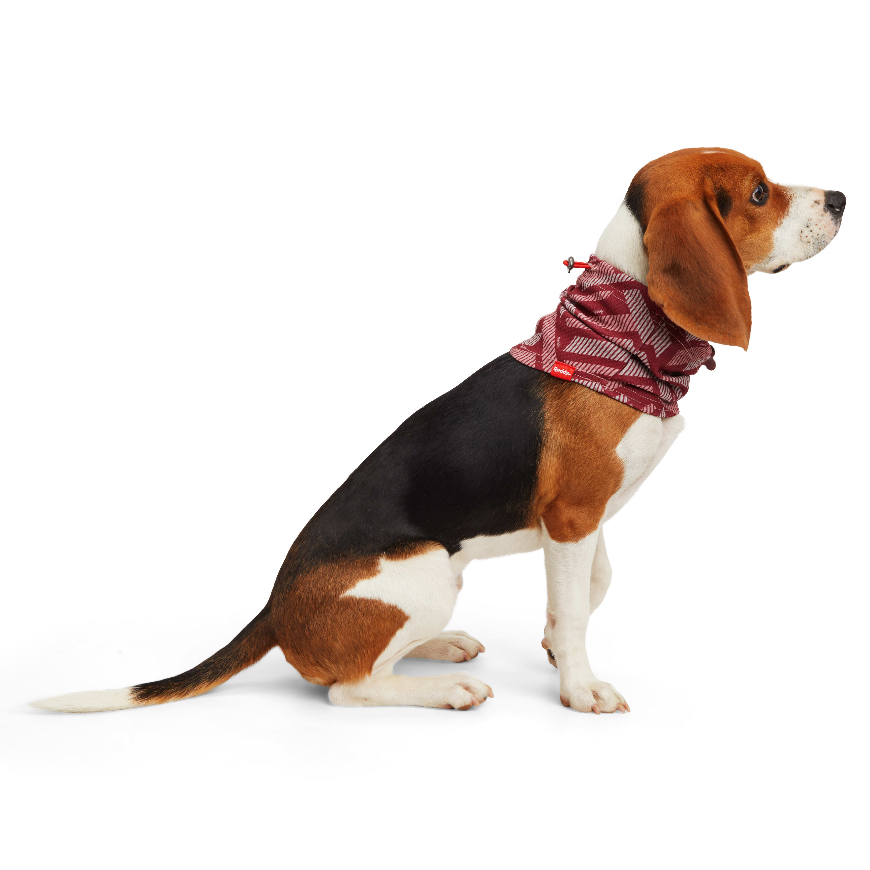 Reddy Adjustable Cooling Neck Gaiter for Large Dogs