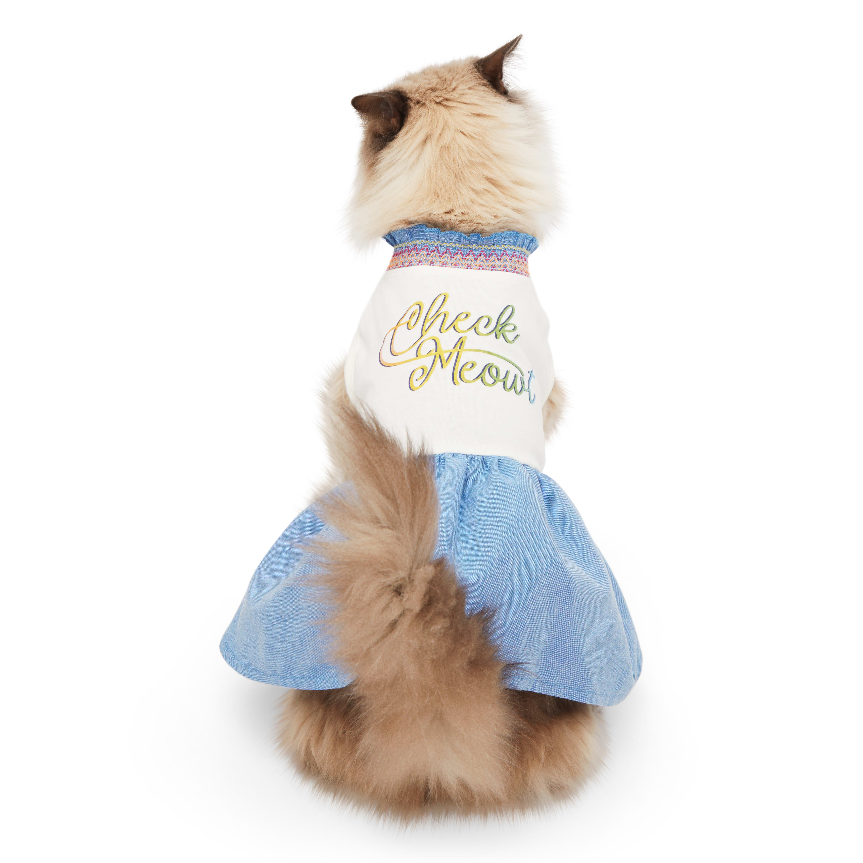 Suitical recovery suit for best sale cats petco