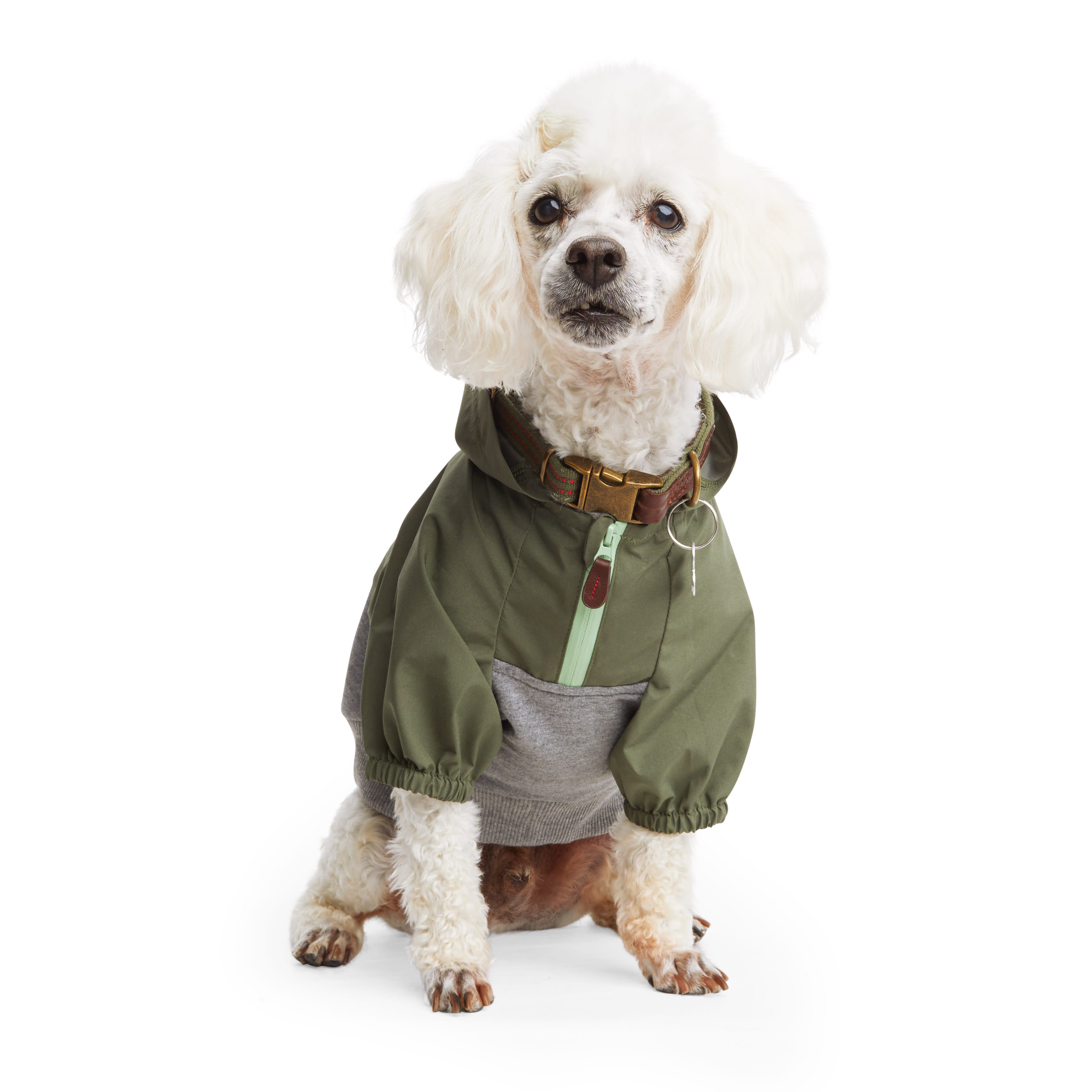 Reddy green lined surplus sales dog jacket