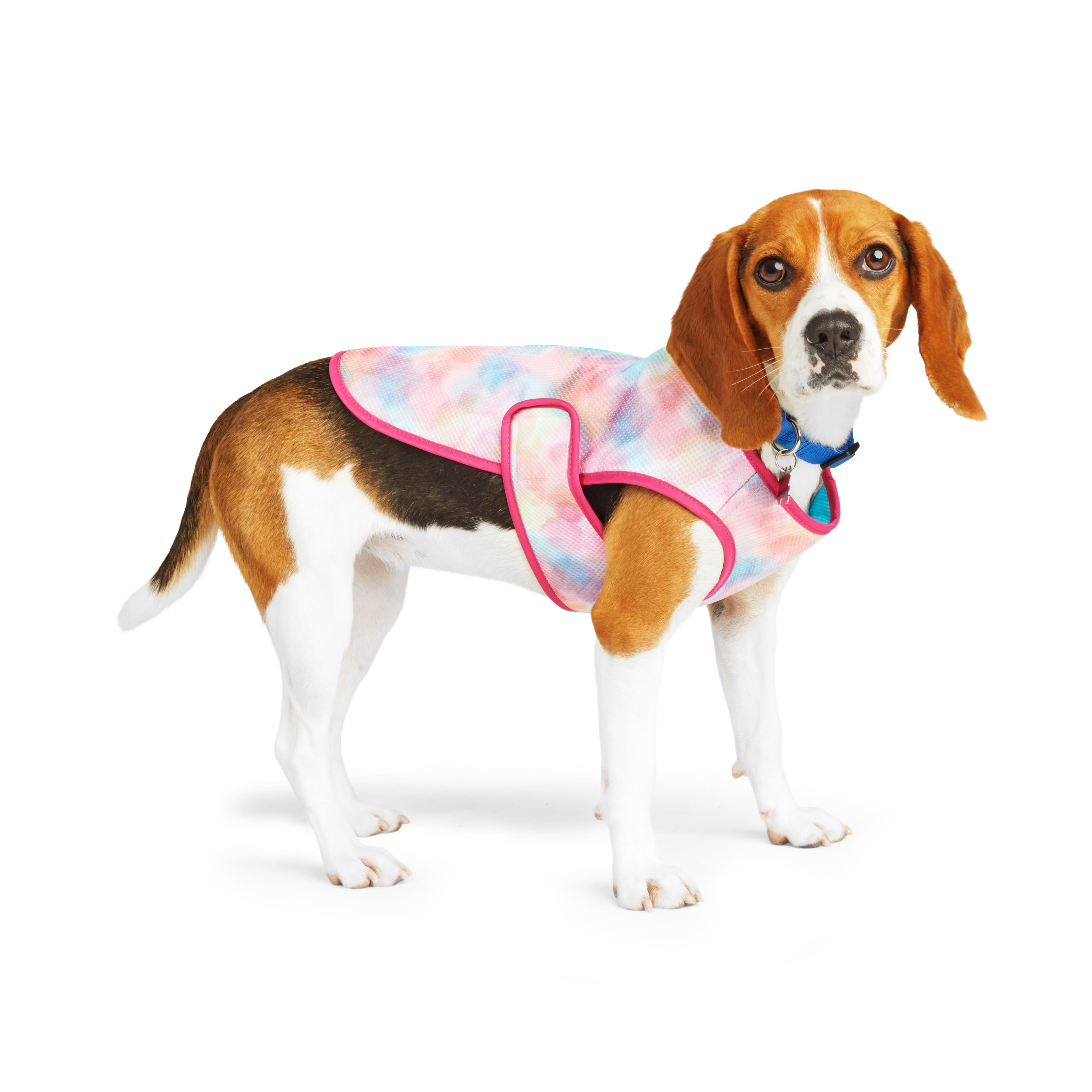 YOULY Cooling Watercolor Vest for Dogs X Small