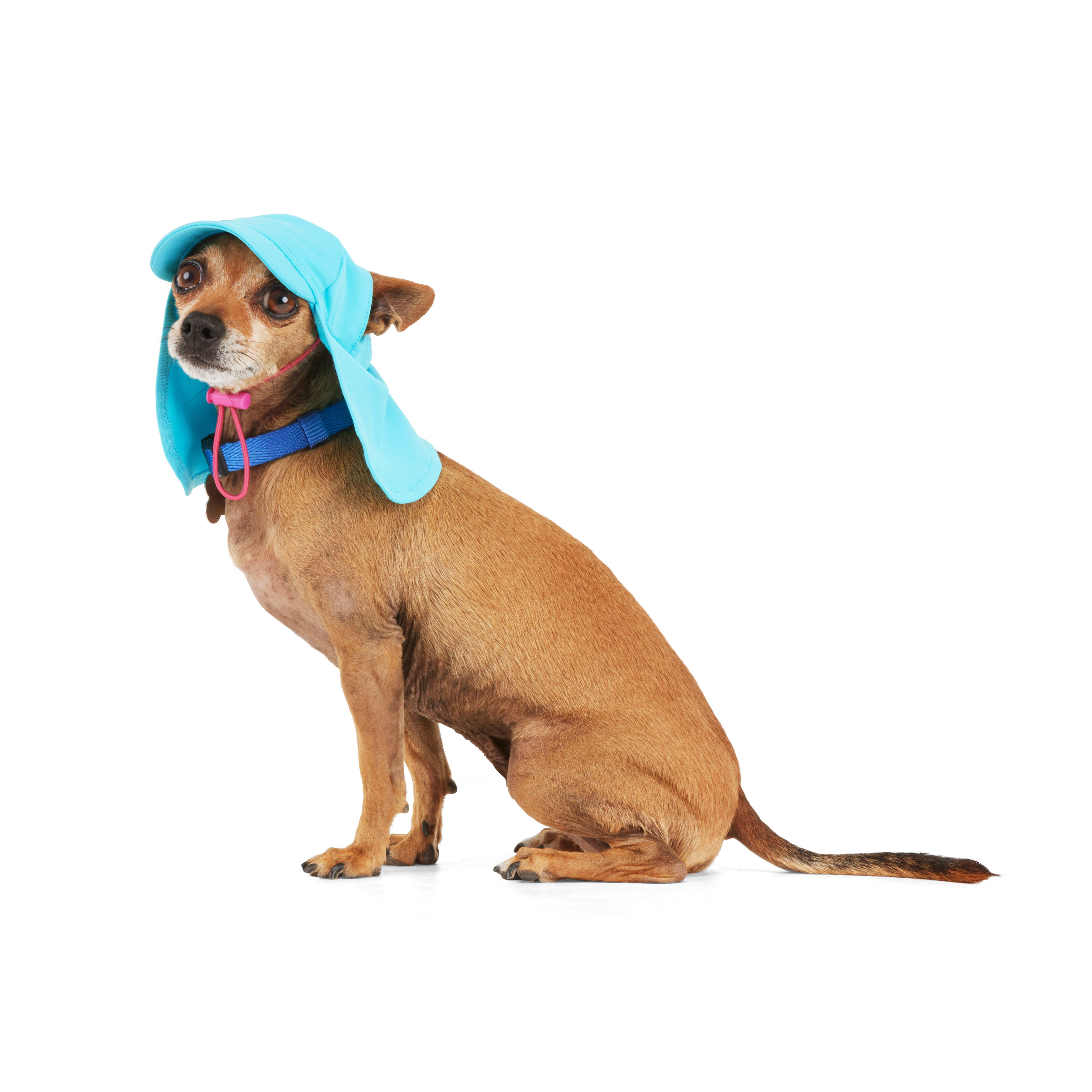 YOULY Straw Hat for Dogs, X-Small/Small