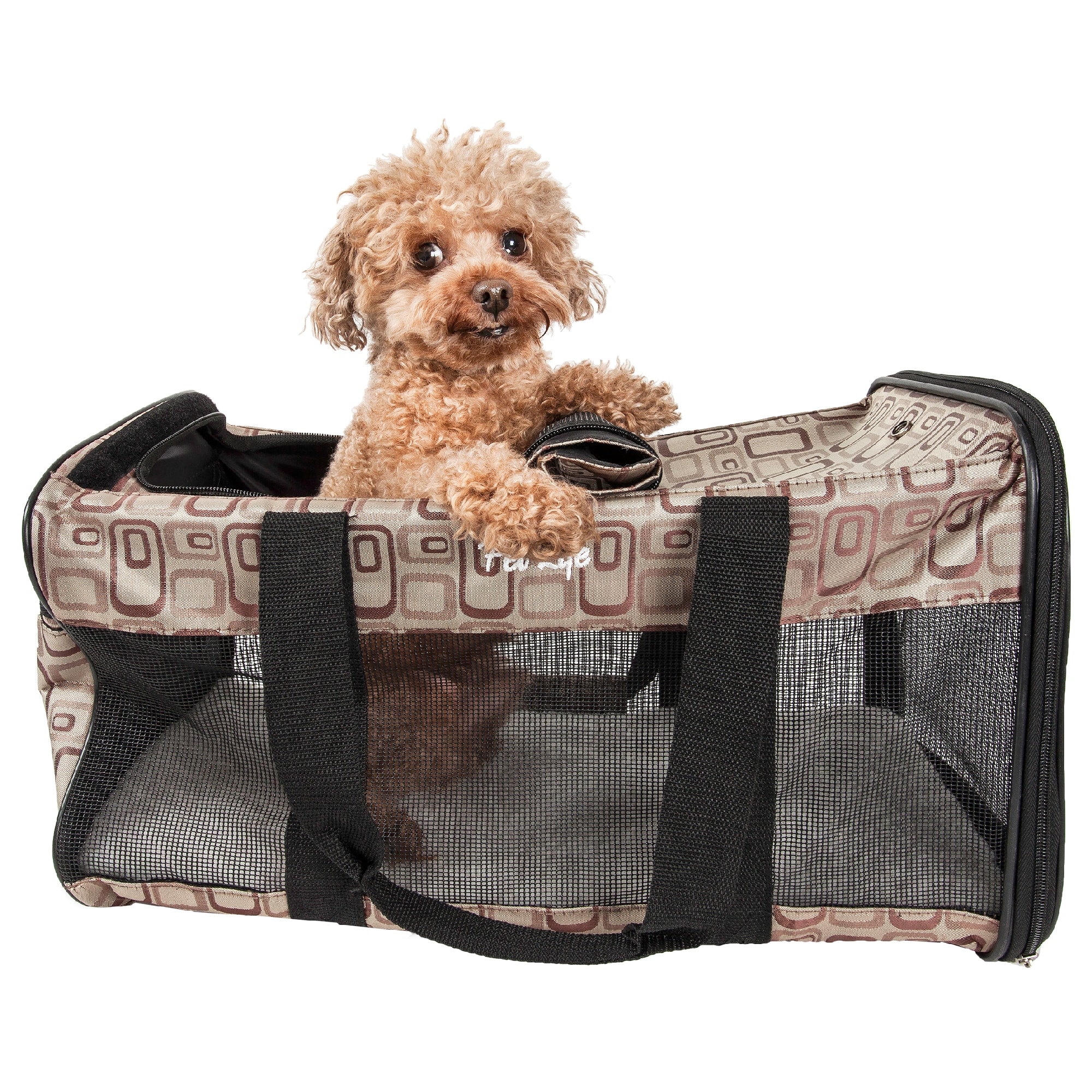 Pet life pet outlet carrier