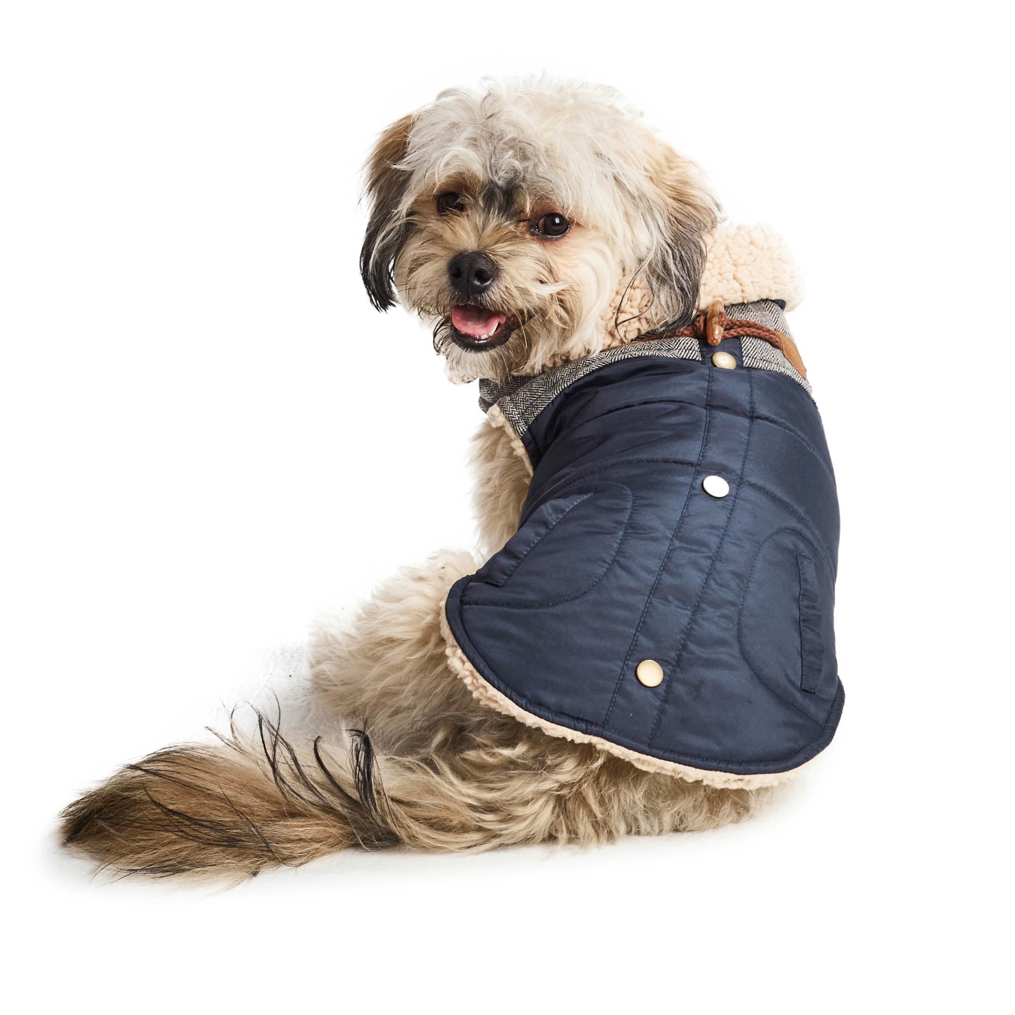 Service Dog Vest Petco