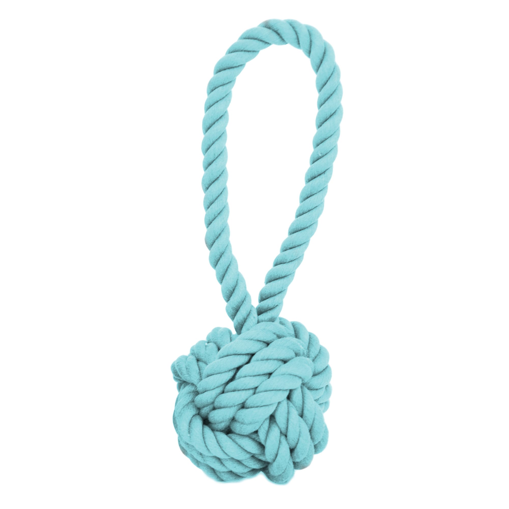 Harry Barker Small Blue Rope Tug & Floss Dog Toy