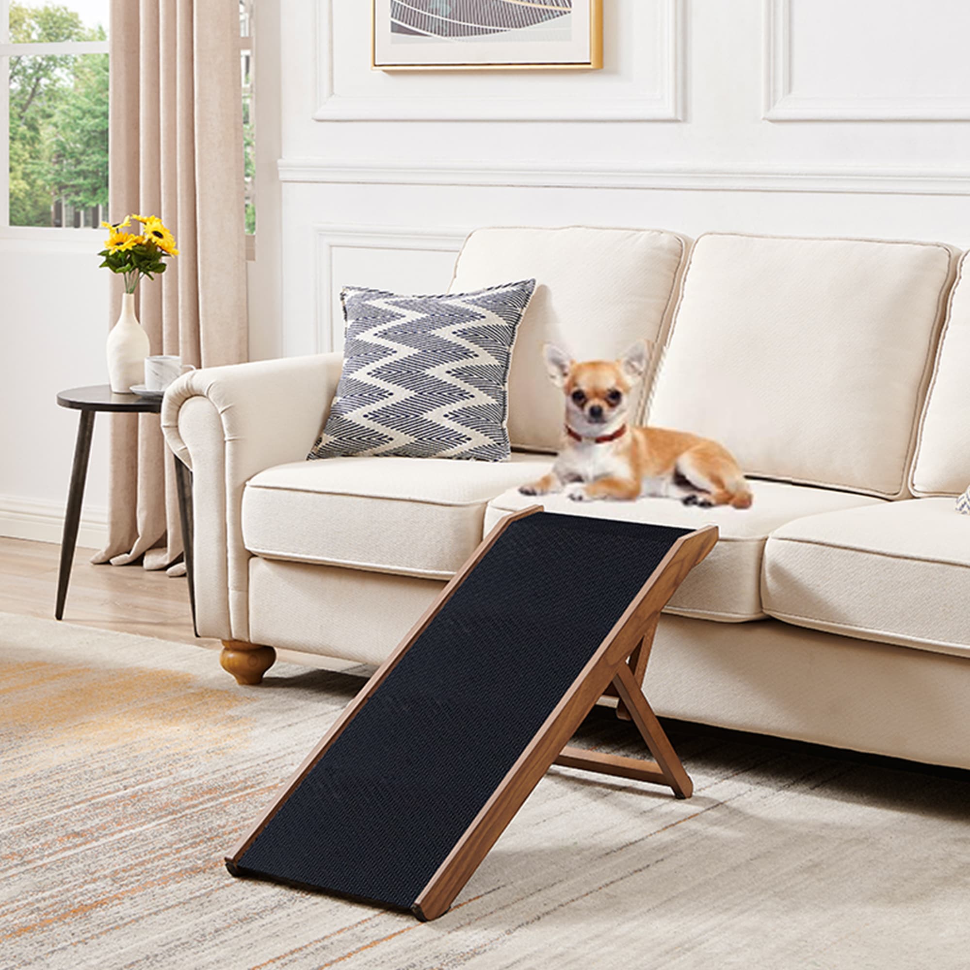 Best Pet Ramp For Small Dogs Petco