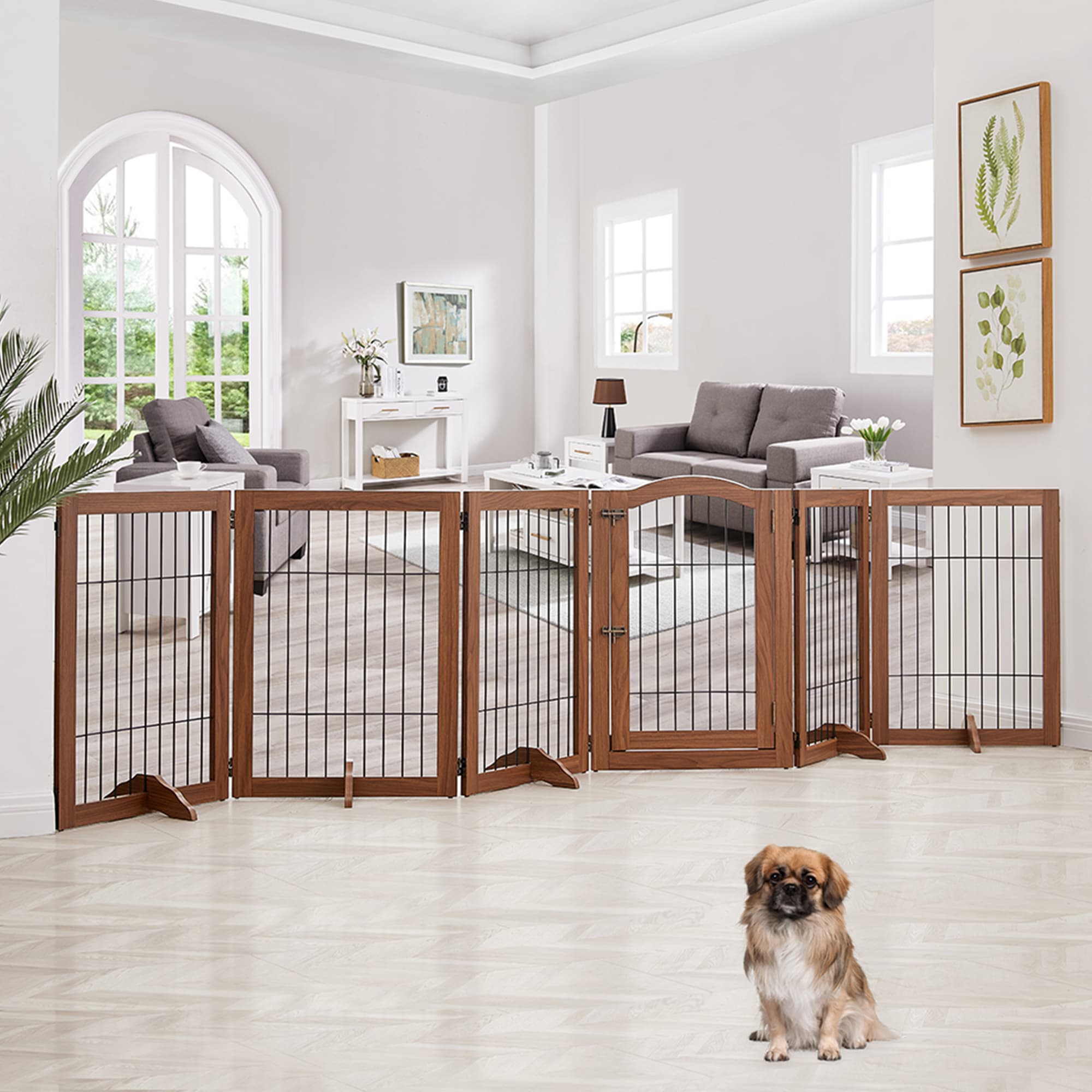 best-dog-gates-of-2021-peacecommission-kdsg-gov-ng