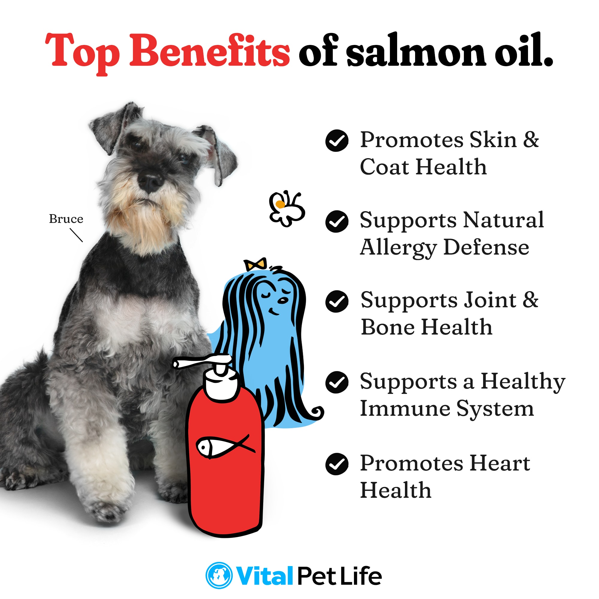 Salmon oil outlet for dogs petco