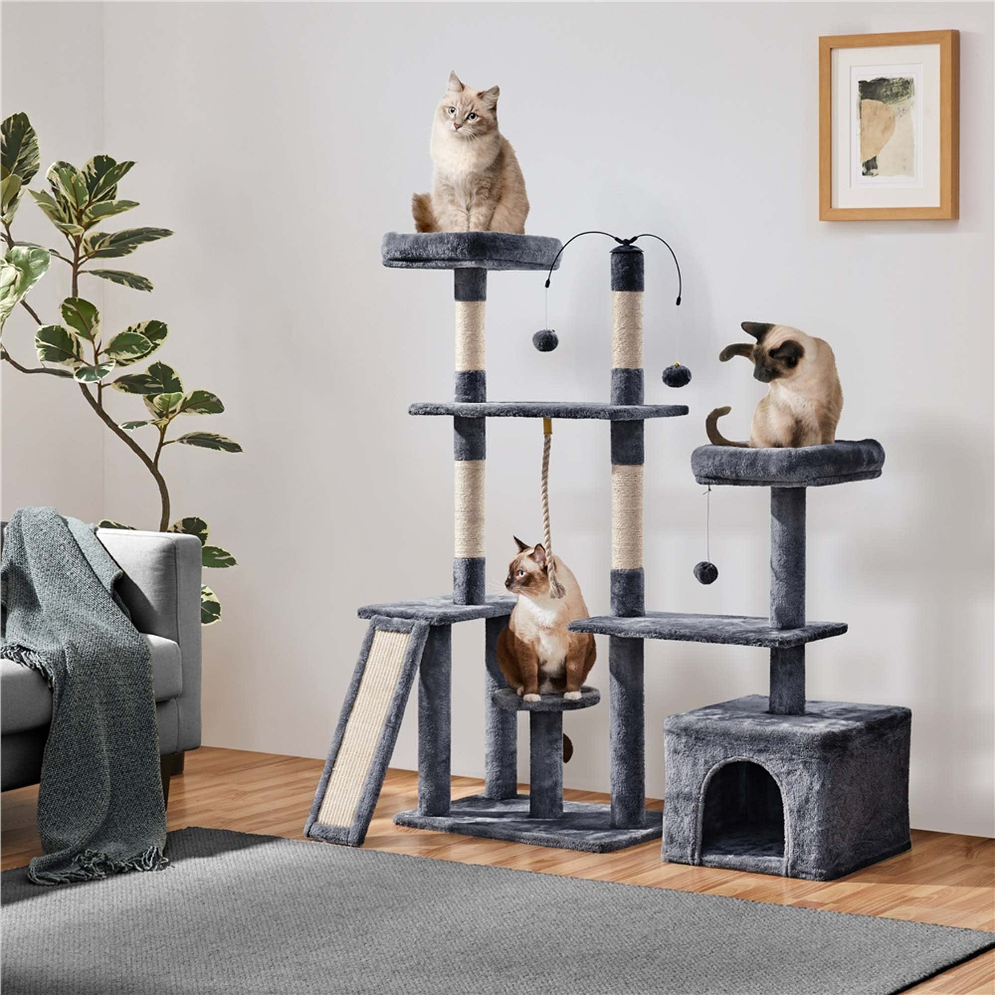 Best cat activity store tree