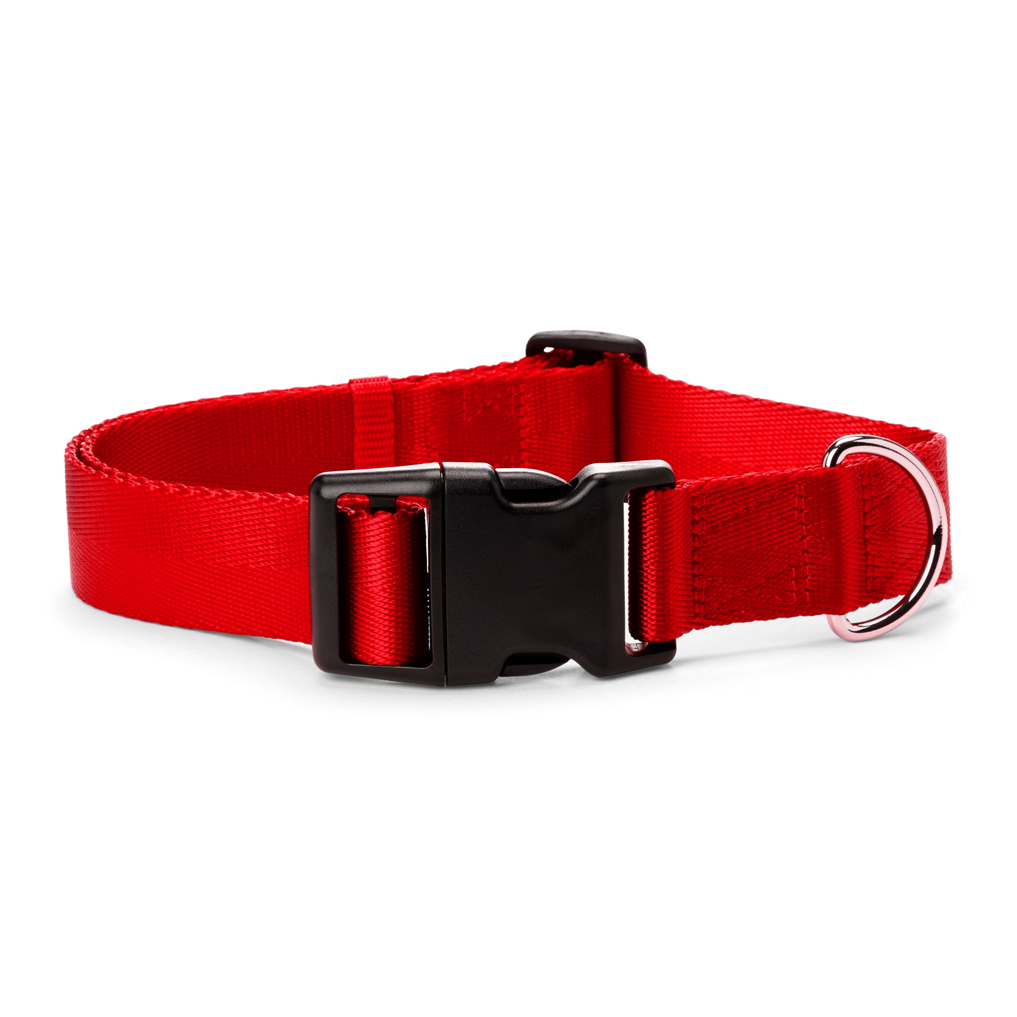 Red dog store lead and collar