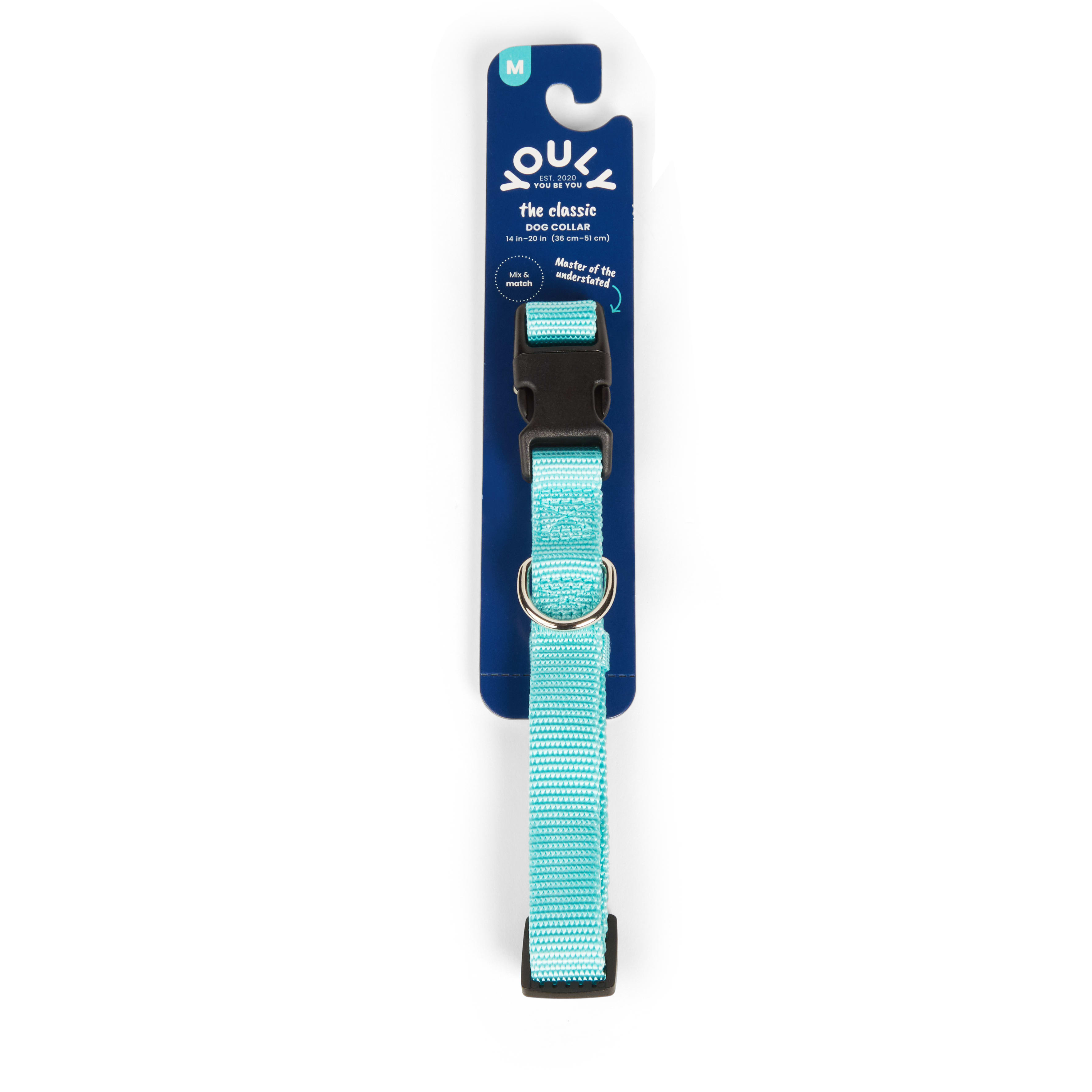 YOULY Turquoise Adjustable Dog Collar, Small Petco