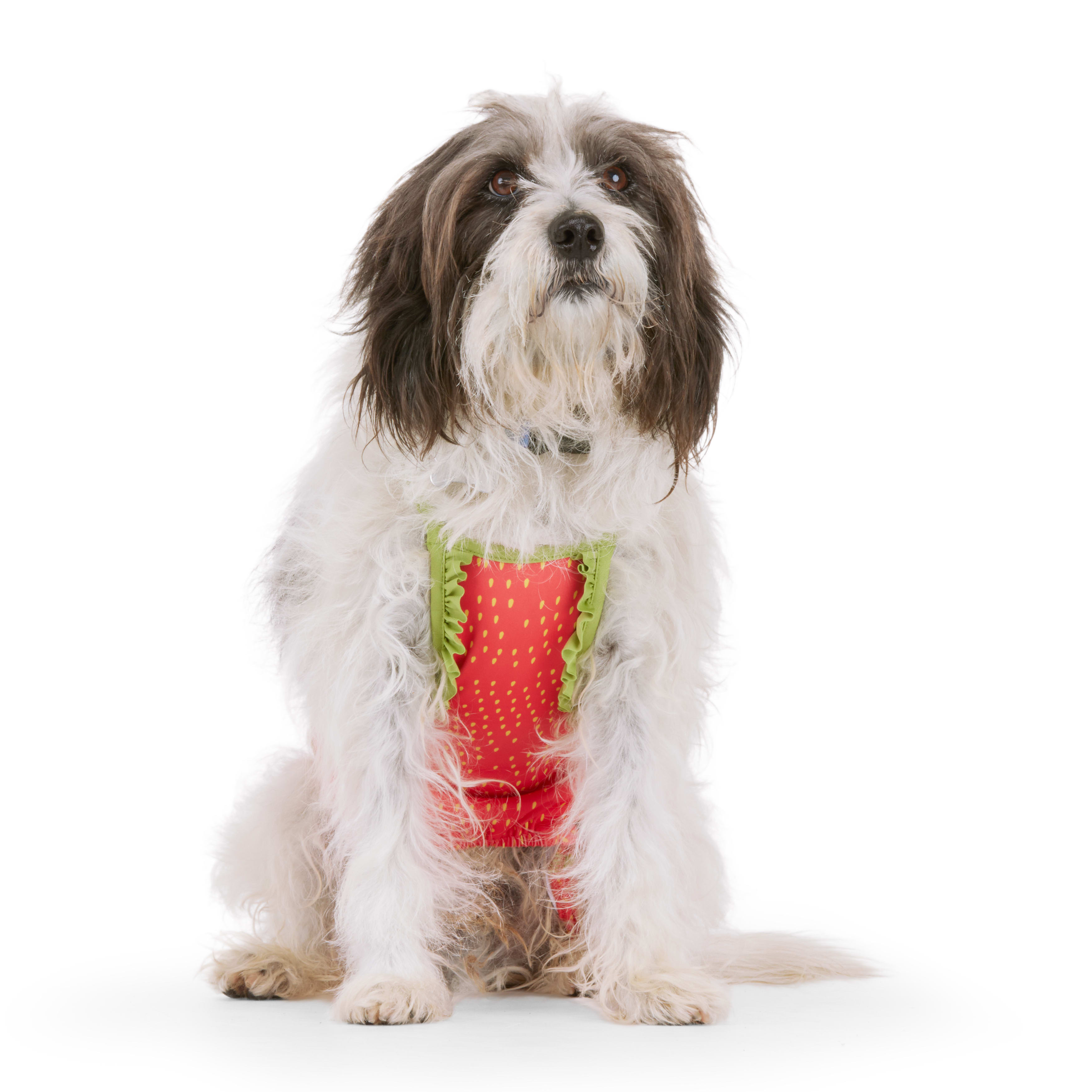 YOULY Strawberry Swimsuit for Dogs XX Small Petco