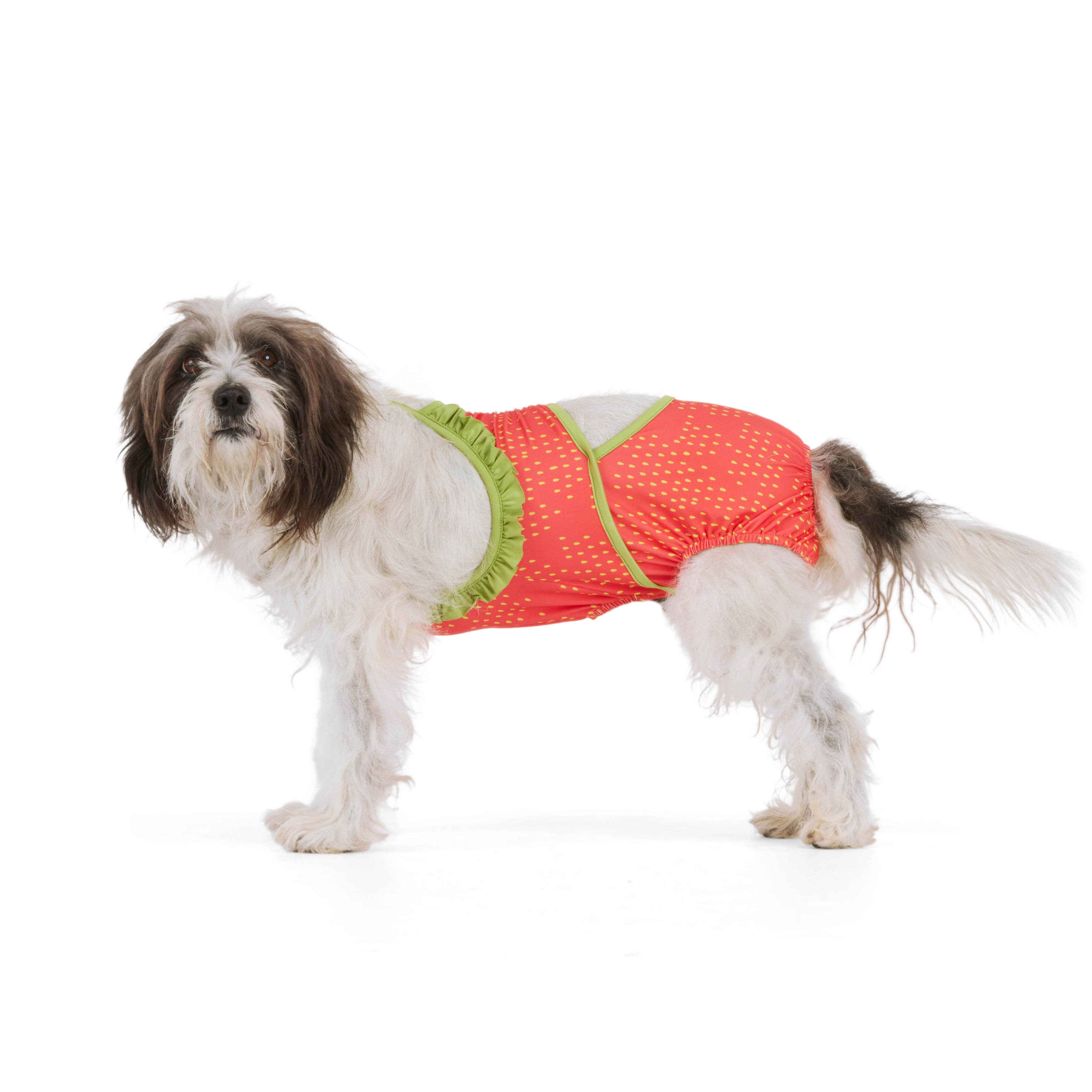 Dog bathing 2025 suits petco