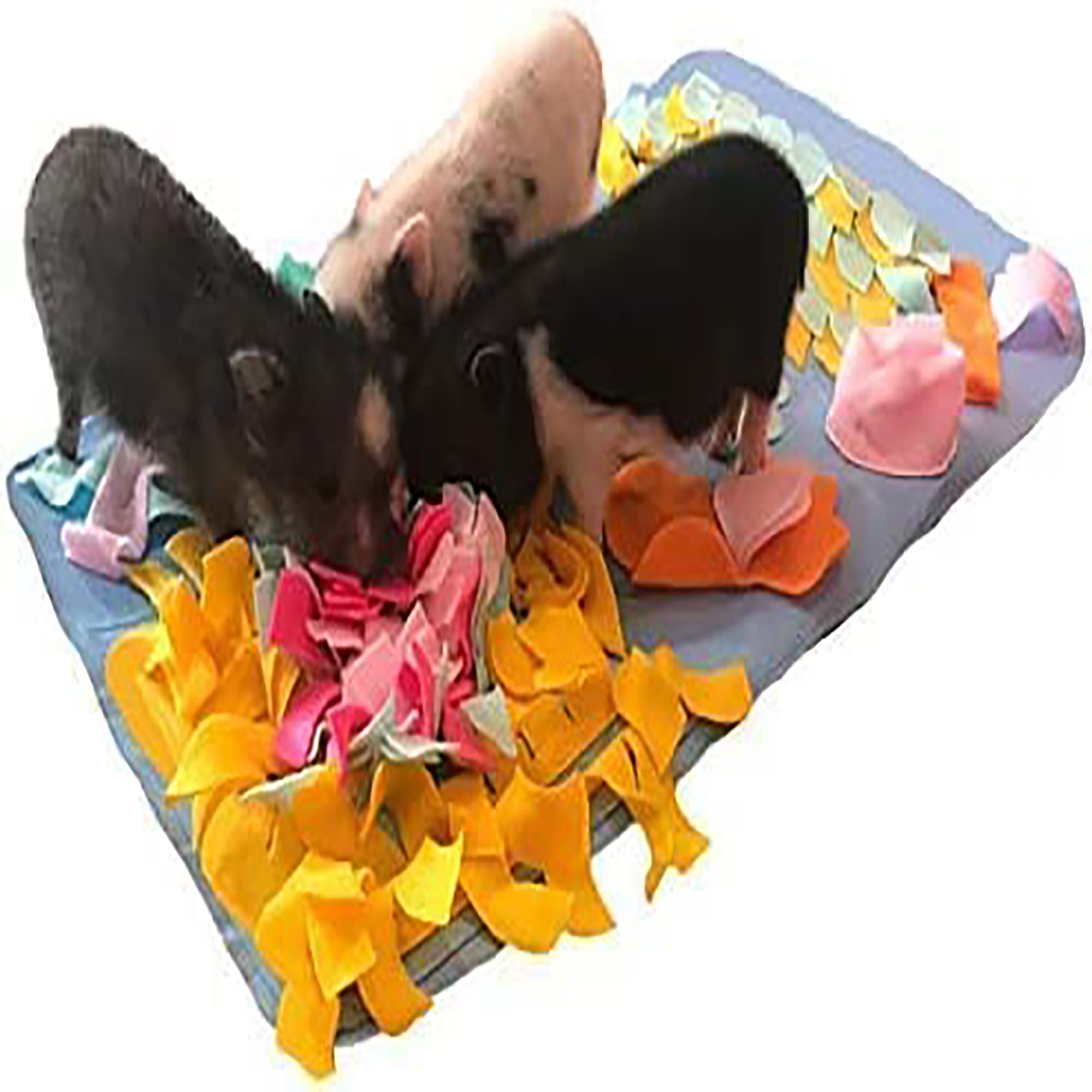 Piggy Poo and Crew Double Bowl Snuffle Mat with A Treat Ball and Squeakers