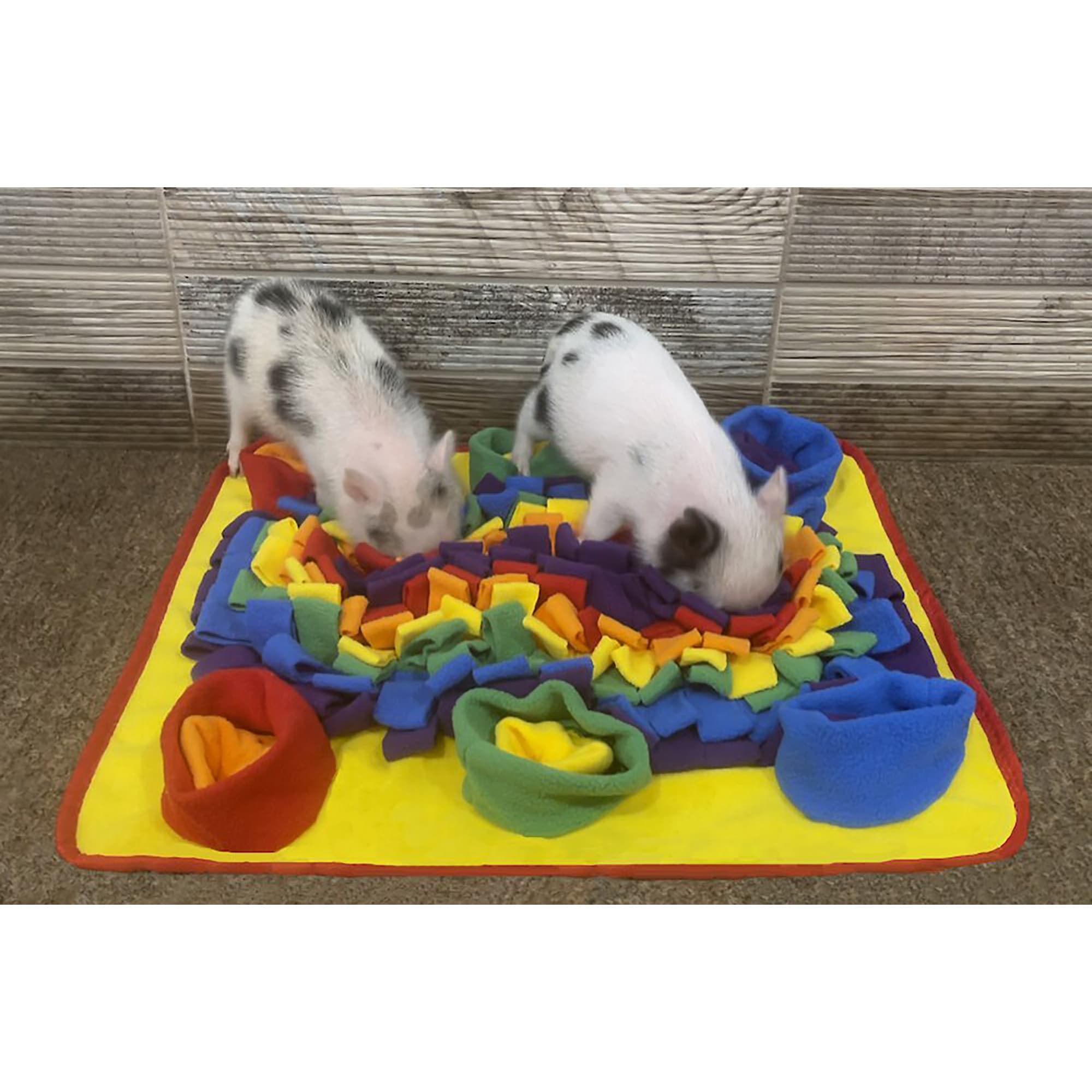 Piggy Poo and Crew Double Bowl Snuffle Mat with A Treat Ball and Squeakers