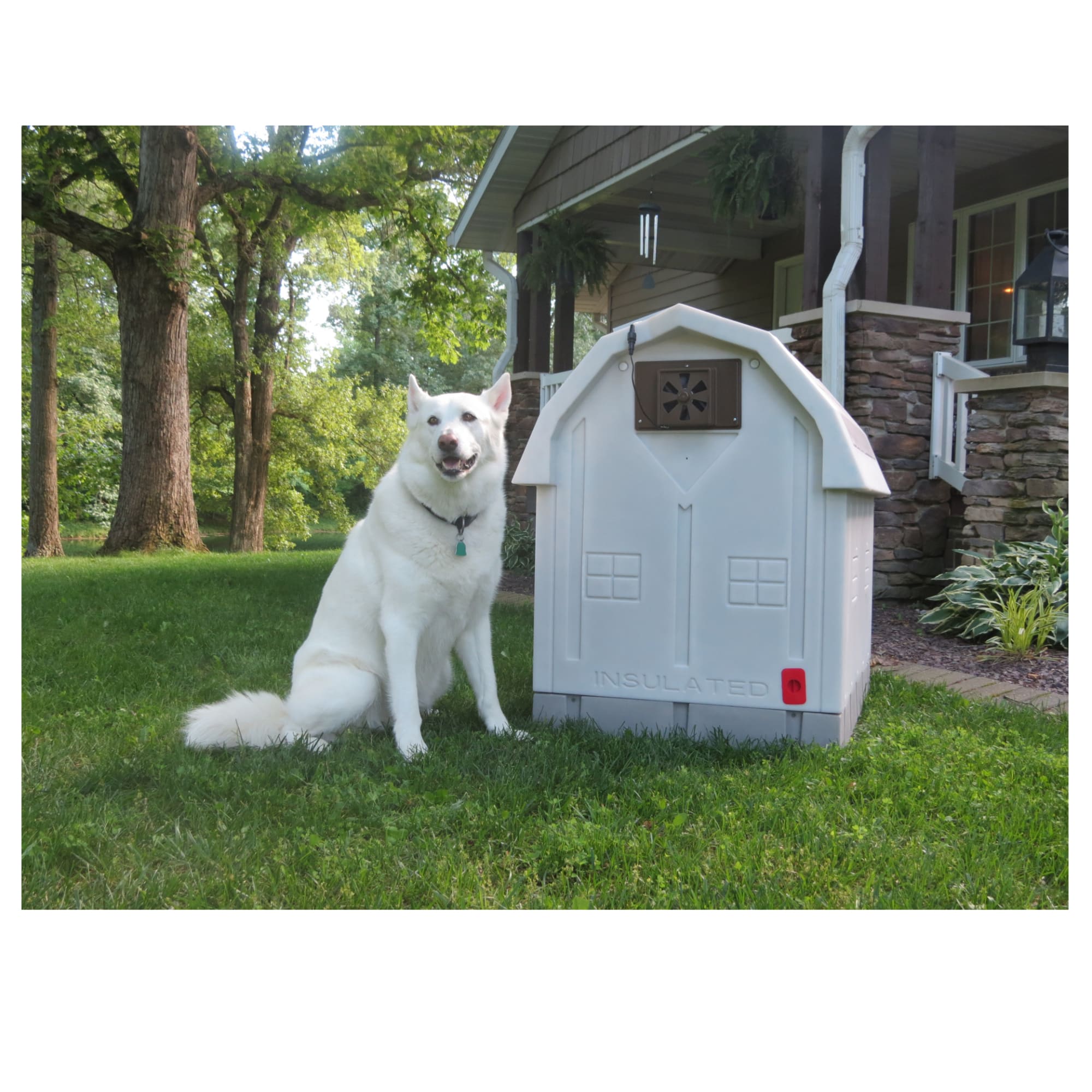 Petco dog houses best sale