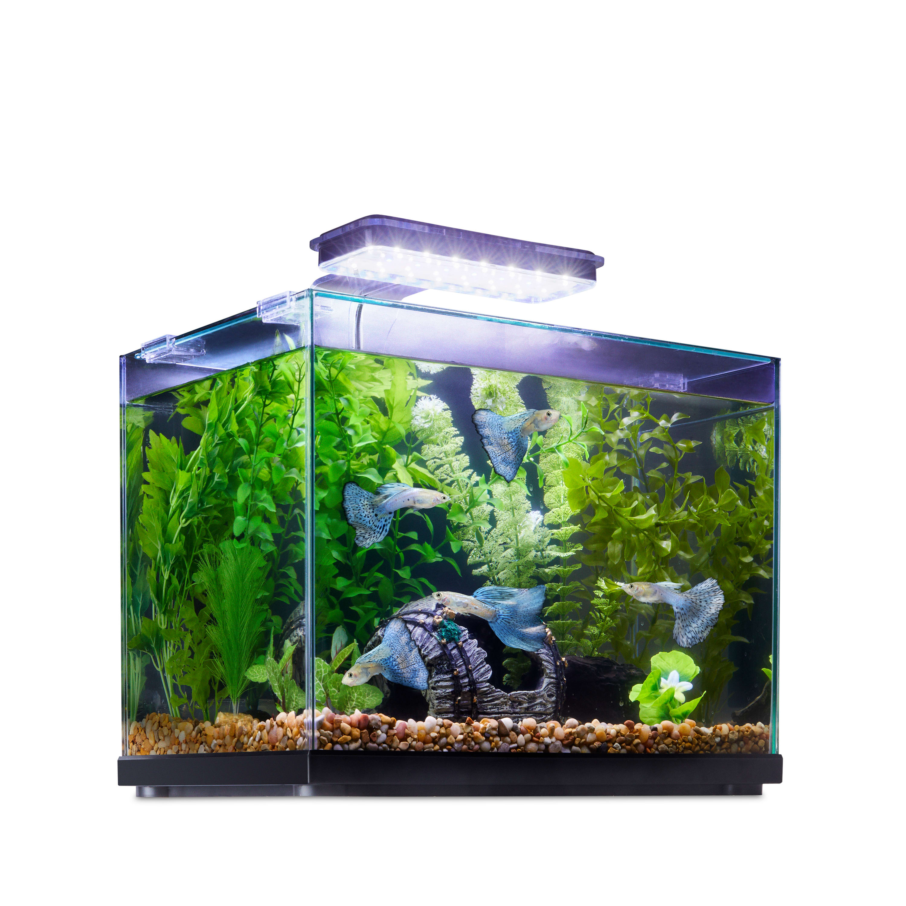 Imagitarium Glass Versa Aquarium 6.6 Gallons