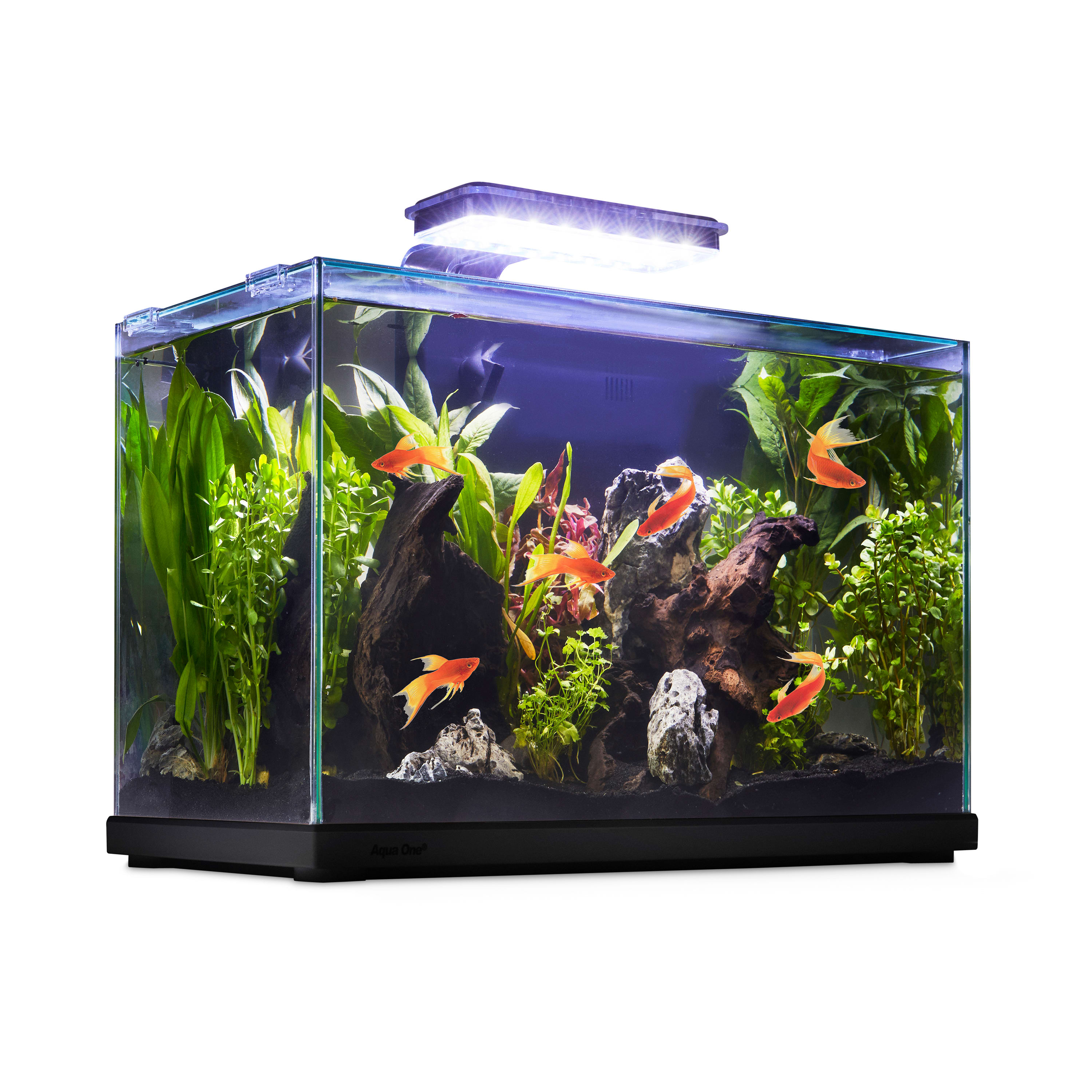 BRAND NEW** Fish Tank Aquarium & Stand: Heater, Filter & More