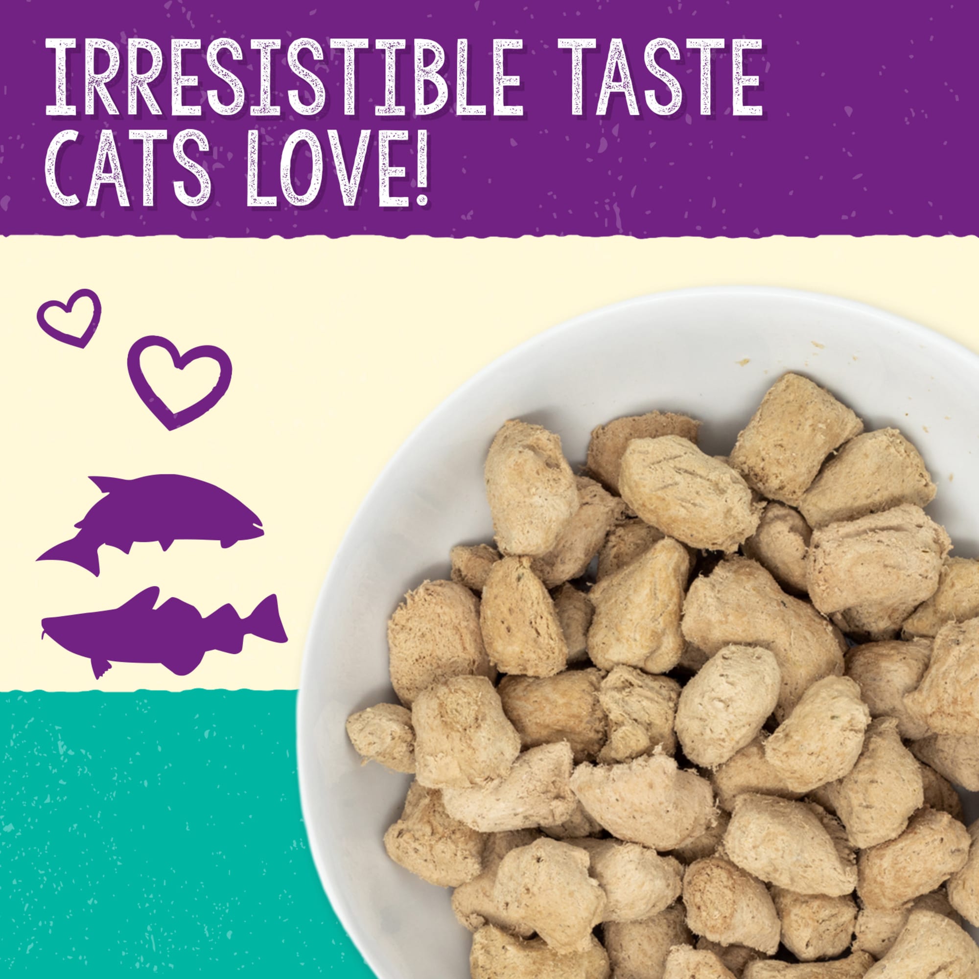 Petco freeze dried cat hot sale food