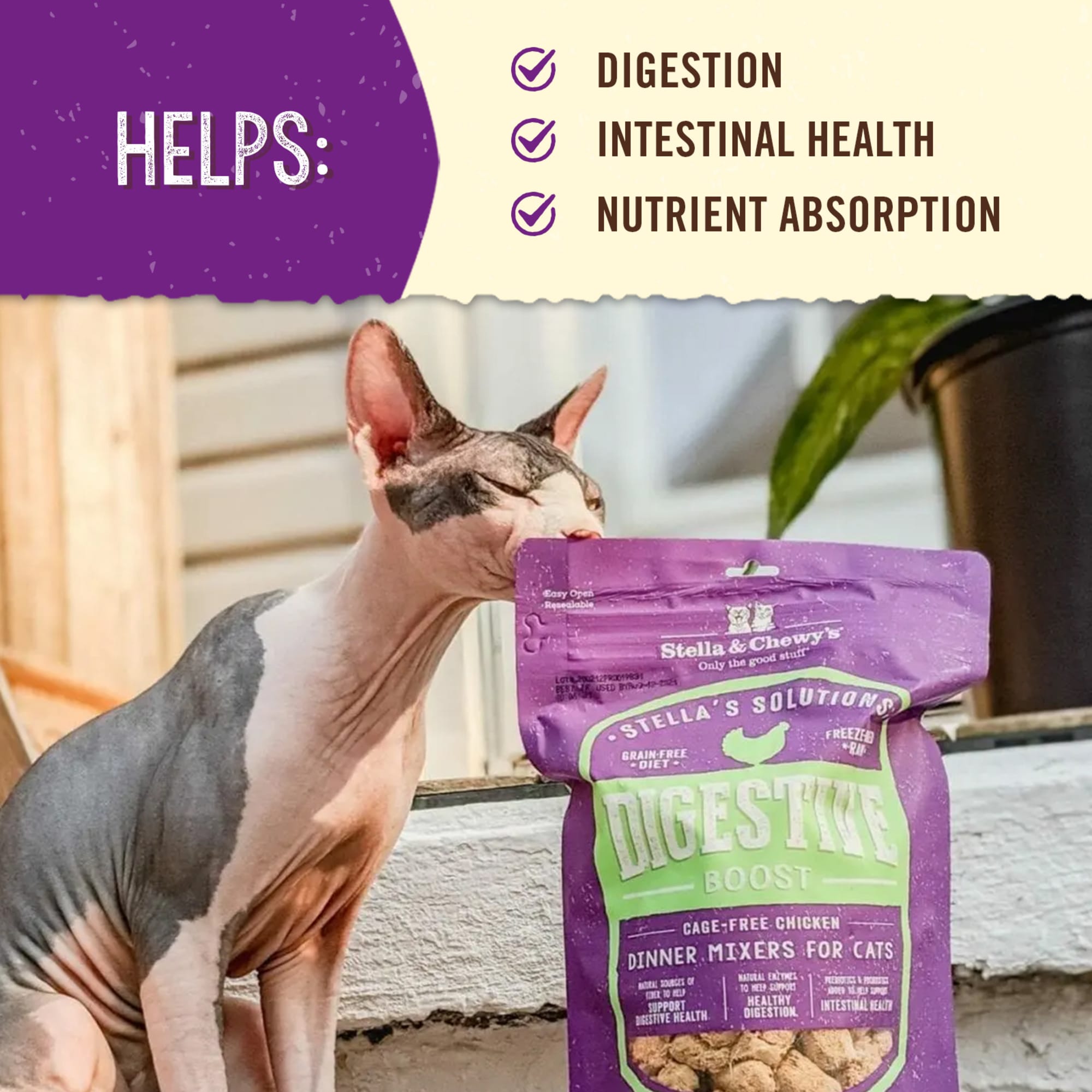cat wet food feeder Cooling Smart Wet Food Feeder with HD Camera