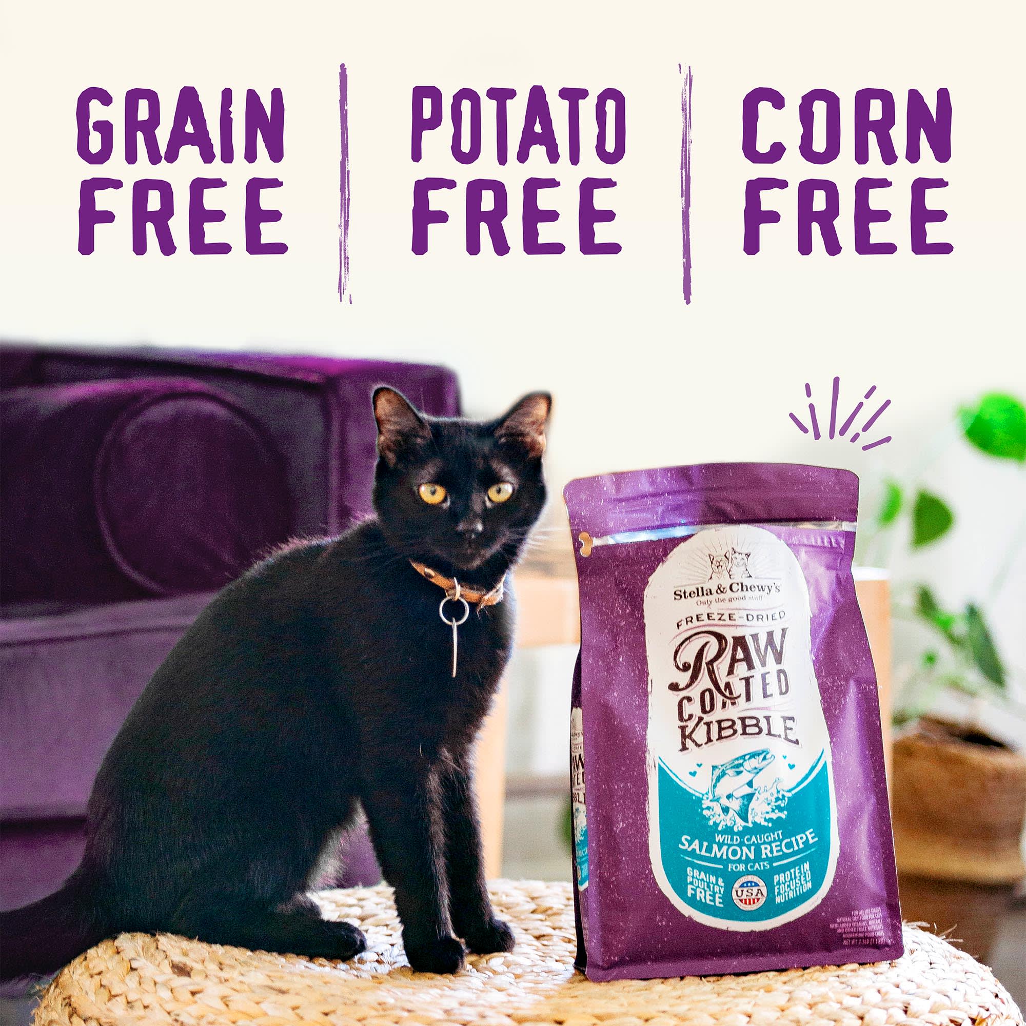 Stella & Chewy's Raw Coated Kibble Cage-Free Chicken Cat Food 2.5 lb
