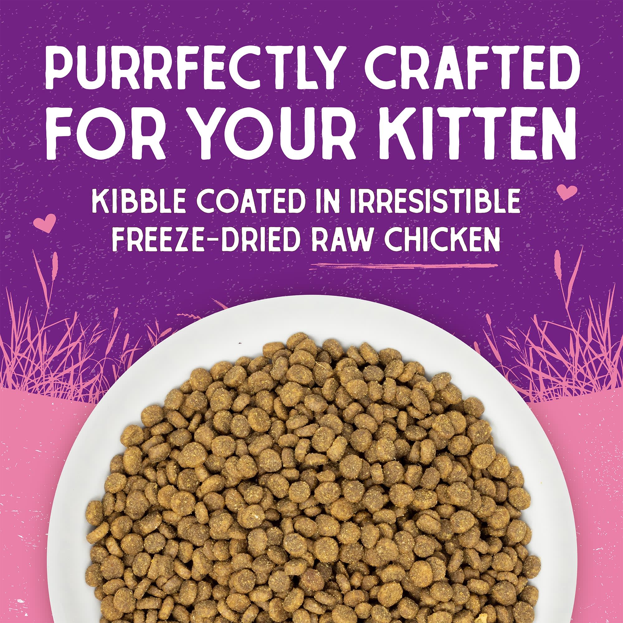 Stella Chewy s Raw Coated Kibble Grain Free Protein Rich Meals Cage Free Chicken for Kittens Recipe Dry Cat Food 5 lbs