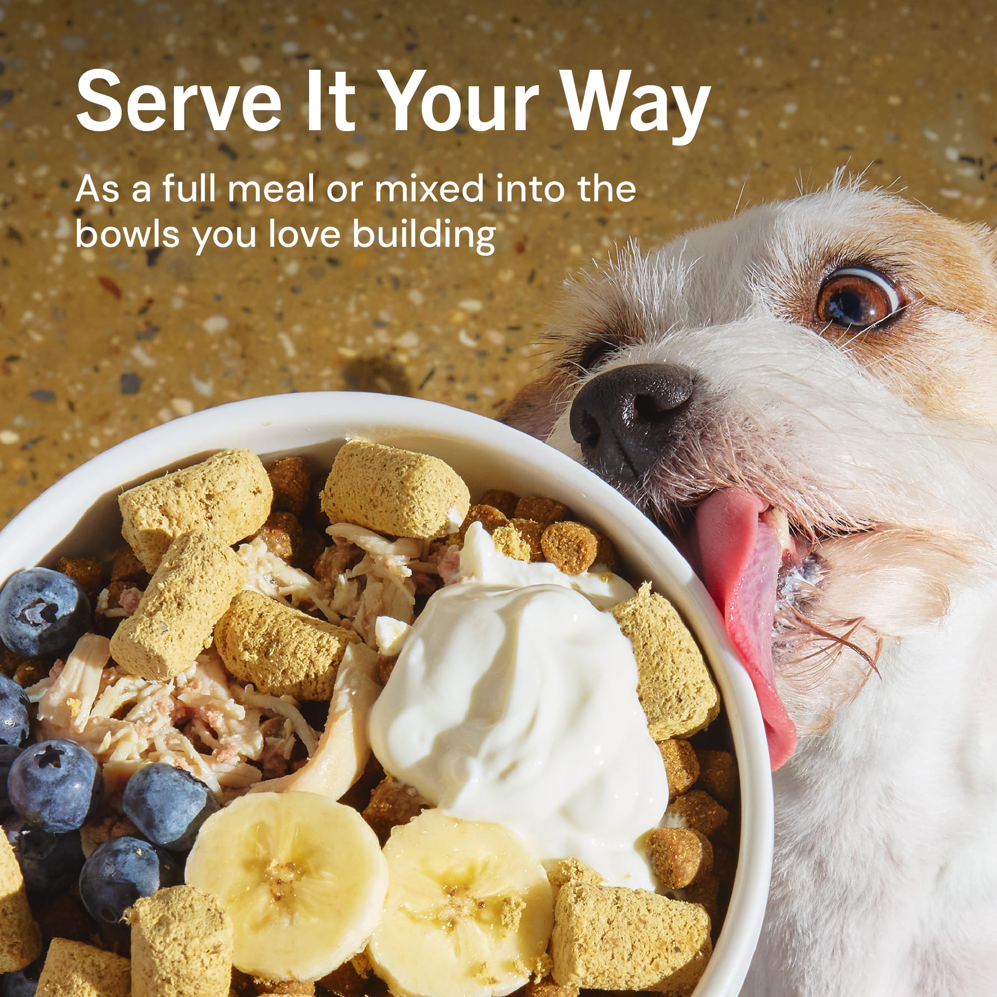 Stella & Chewy's Freeze Dried Raw Dandy Lamb Meal Mixer High