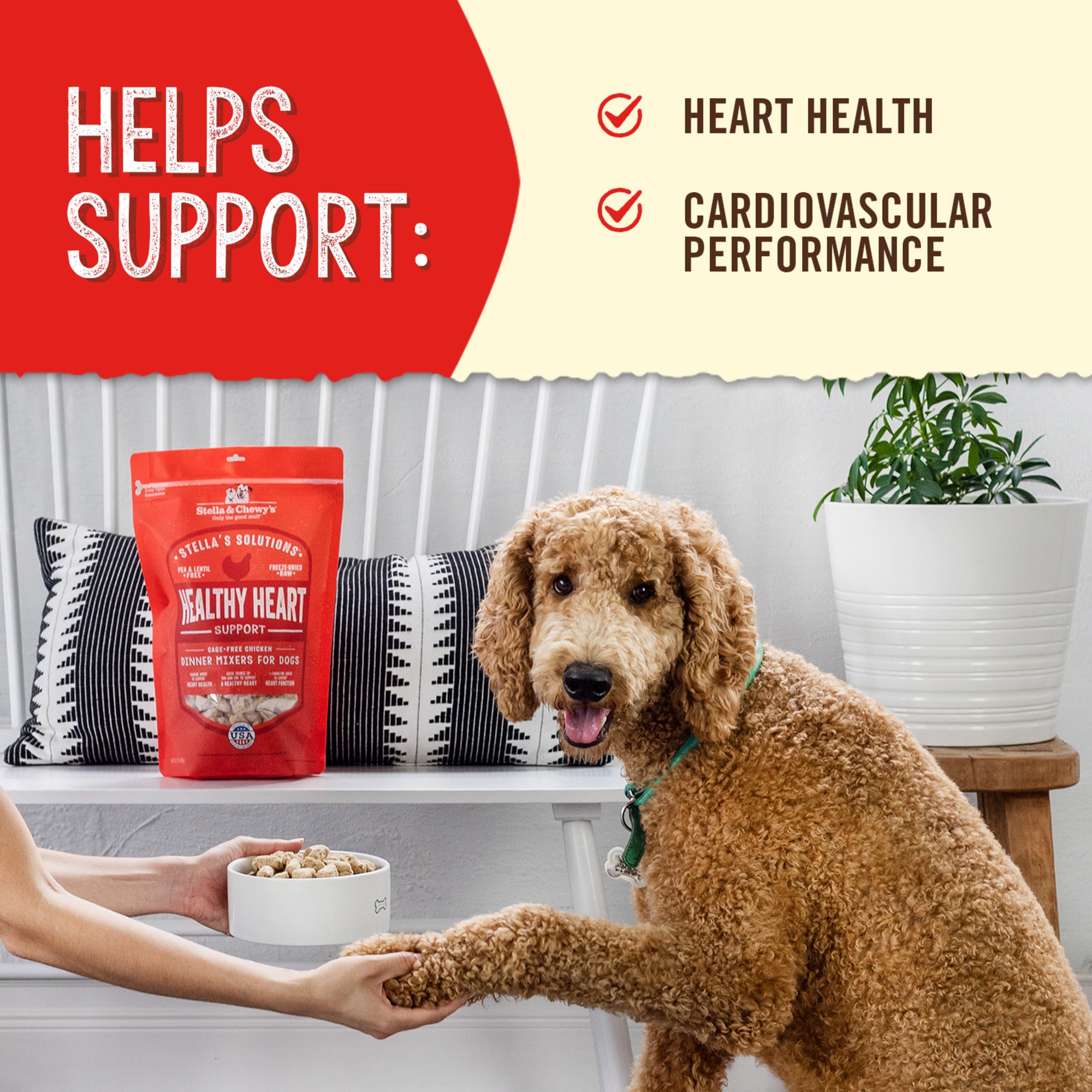 Veterinary Best Dog Food For Dog With Heart Murmur Veterinary