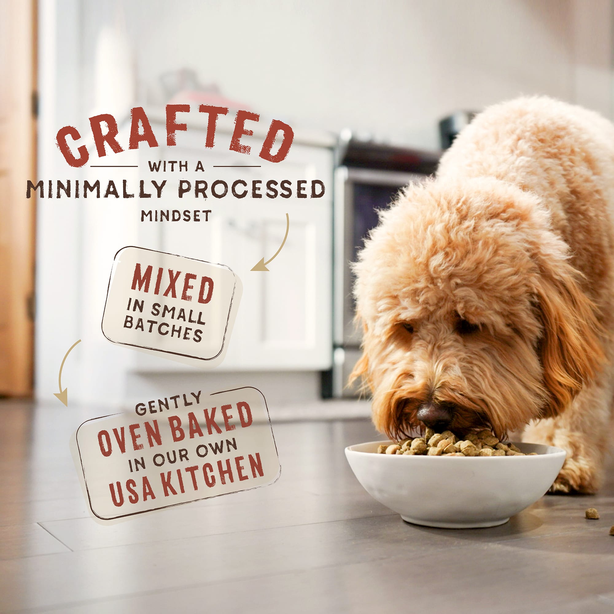 Stella & Chewy's SuperBlends Raw Blend Wholesome Grains Cage-Free