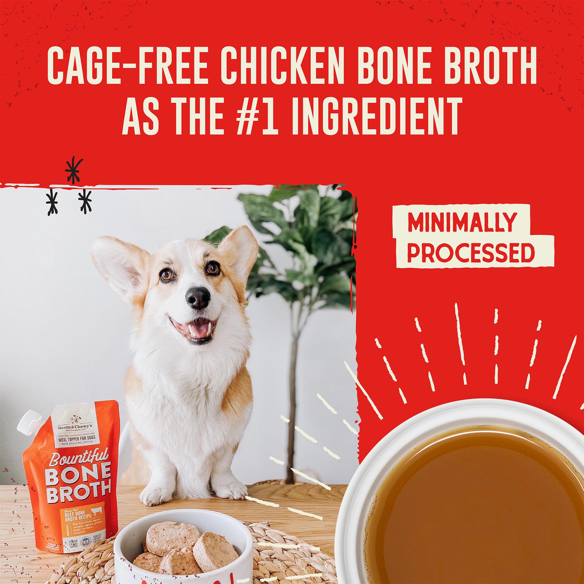 Herbsmith Bone Broth Kibble Seasoning - Freeze Dried Meat + Bone Broth Kibble Seasoning Freeze Dried Meat Bone Broth Powder For Dogs Diy Raw Coated Kibble Mixer Chicken 3 5 Oz Bundle X2 Units