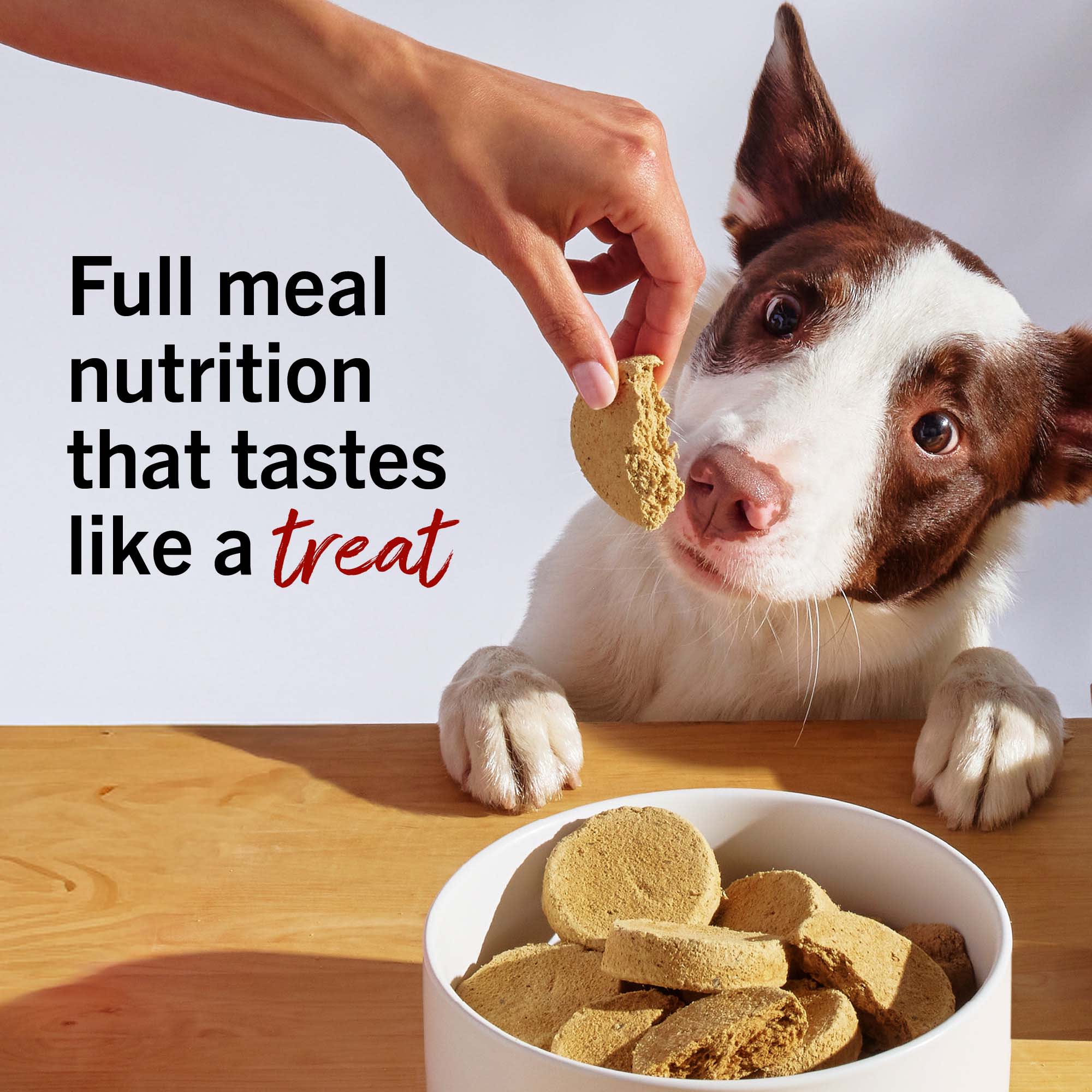 STELLA ビリヤードキュー 19 oz Stella & Chewy's Freeze Dried Raw Dinner Patties High Protein