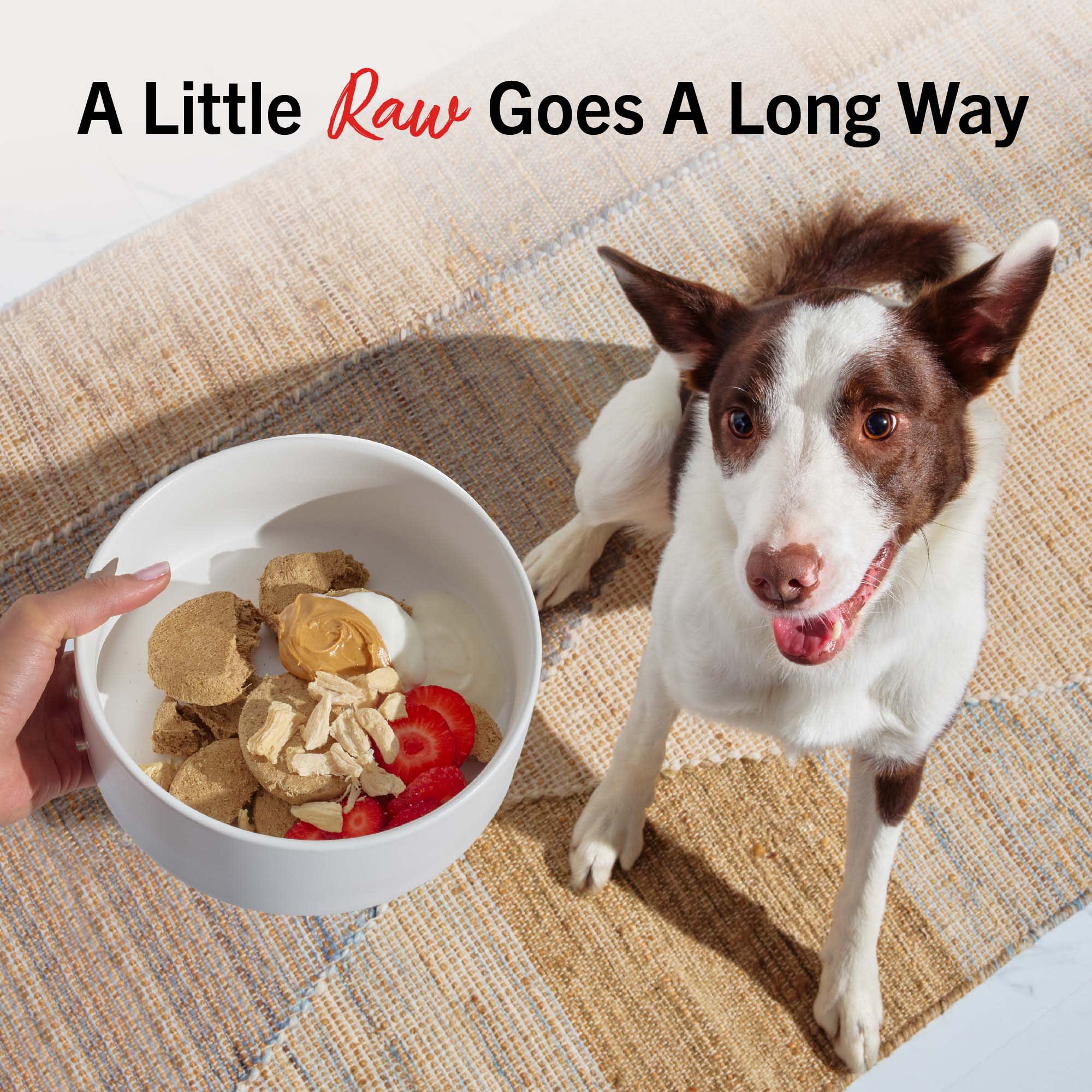 Stella & Chewy's Freeze Dried Raw Dinner Patties High Protein
