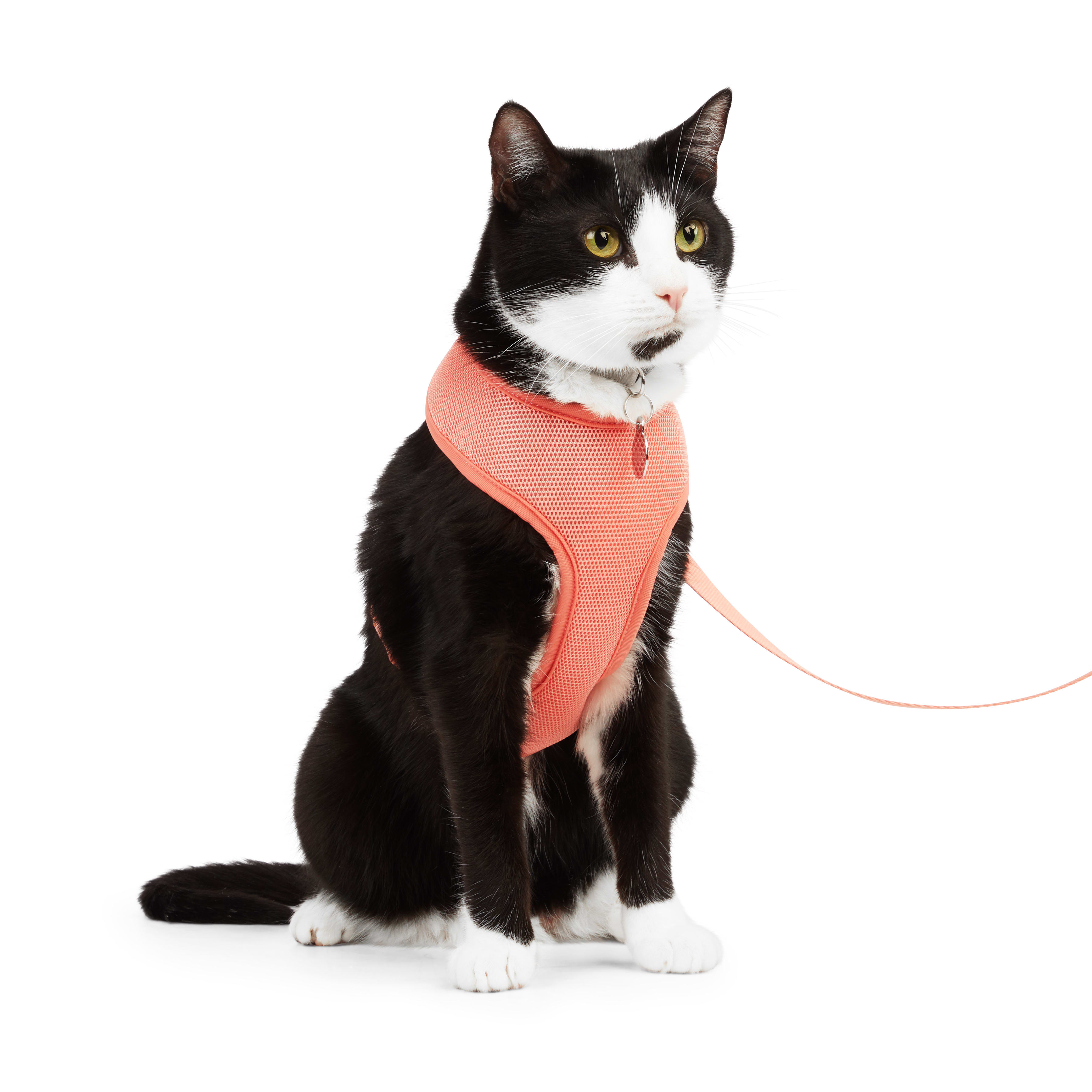 YOULY Coral Mesh Cat Harness Set Large X Large