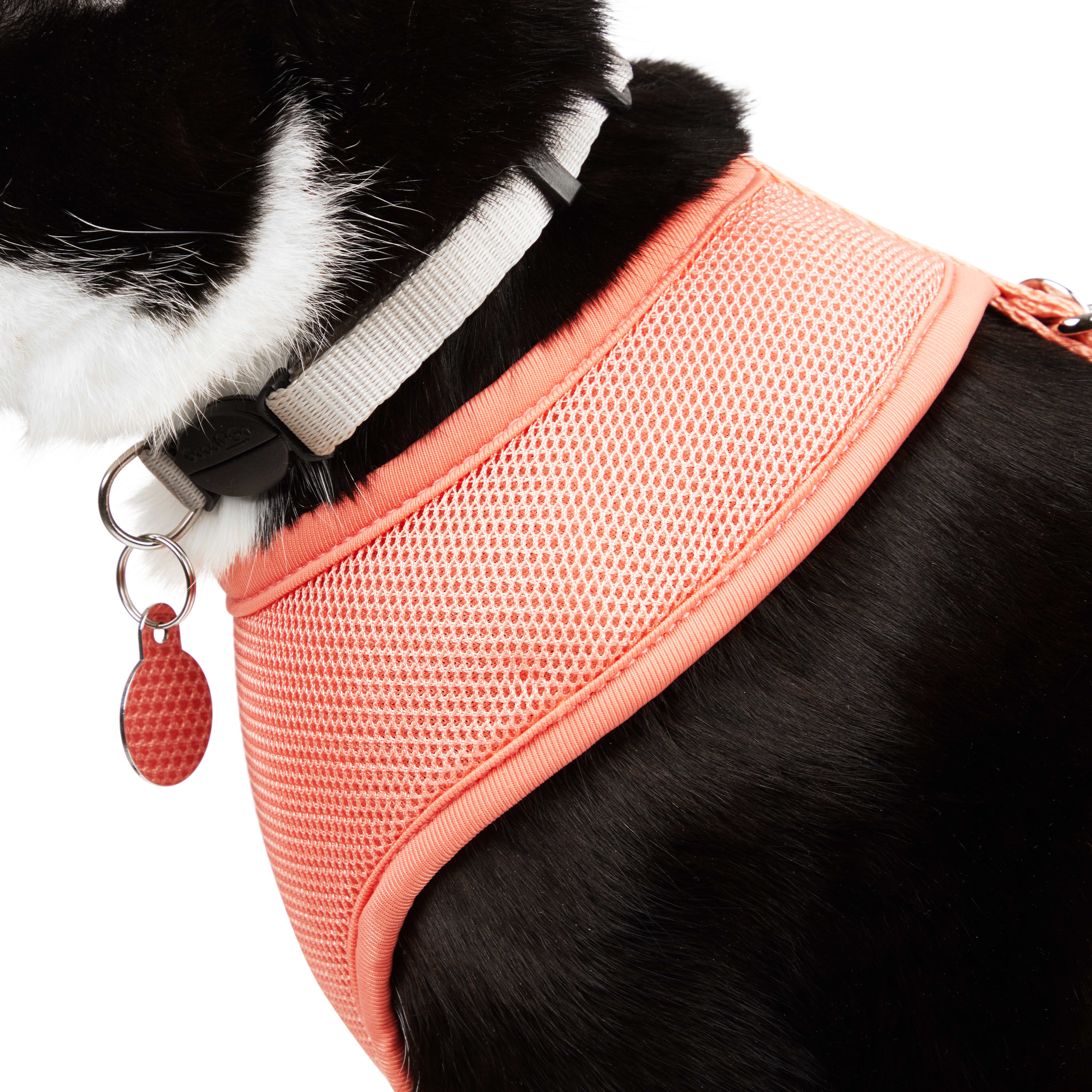 YOULY Mesh Cat Harness & Leash Set, Coral & Blue, Large/X-Large
